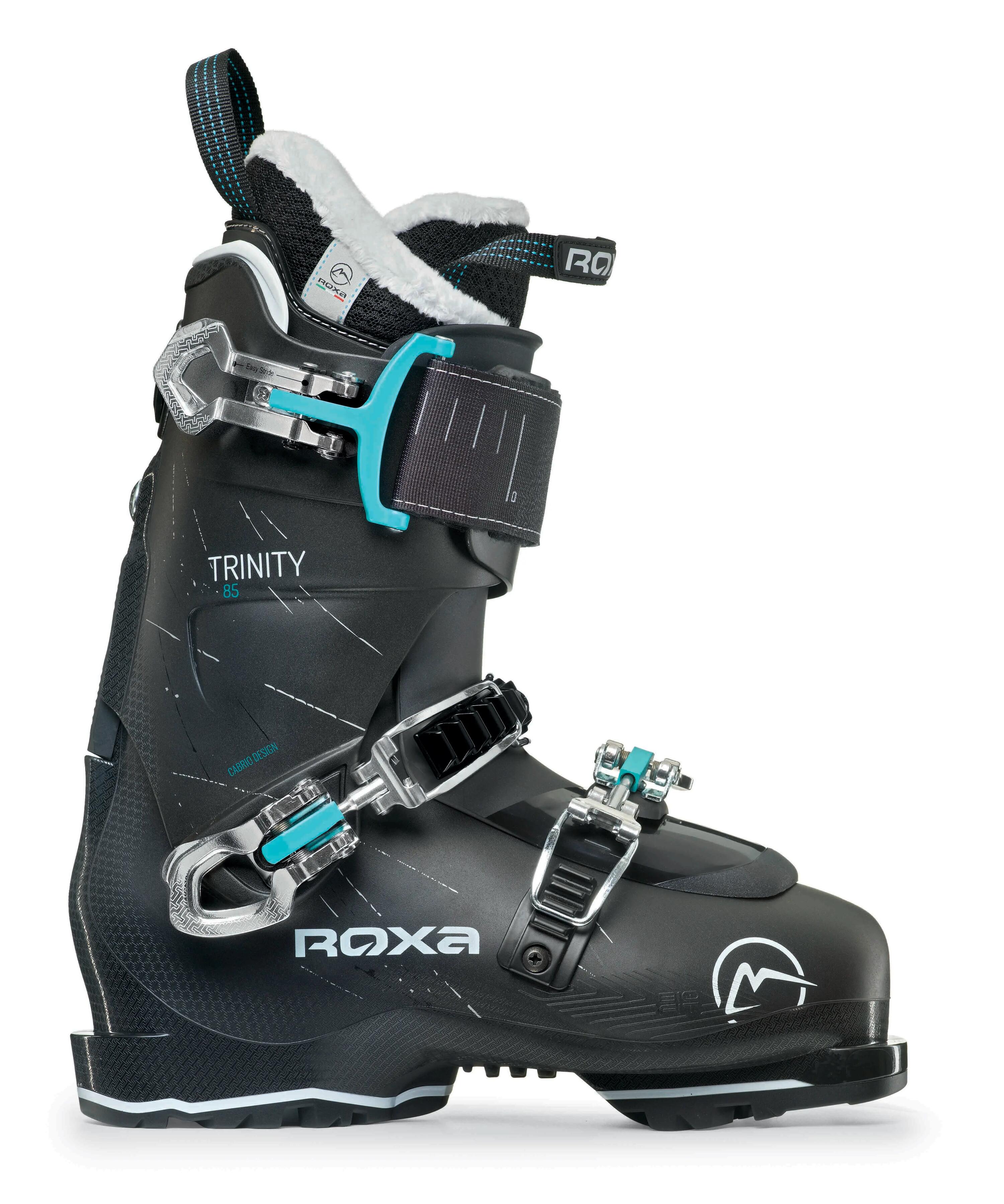 ROXA picture