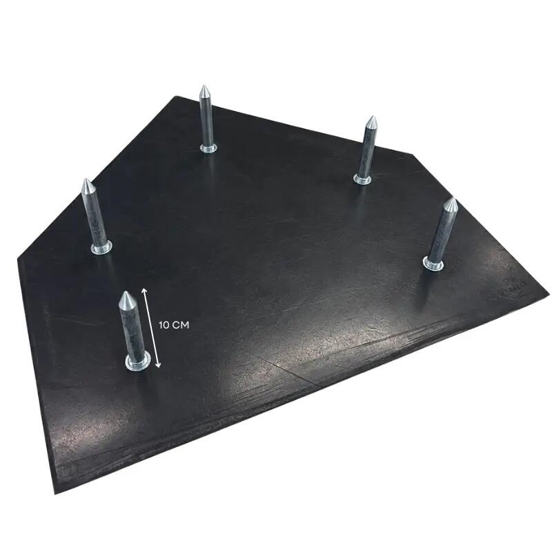 Benson HP2 (GH-0101) Homeplate met zwarte rand 5/5