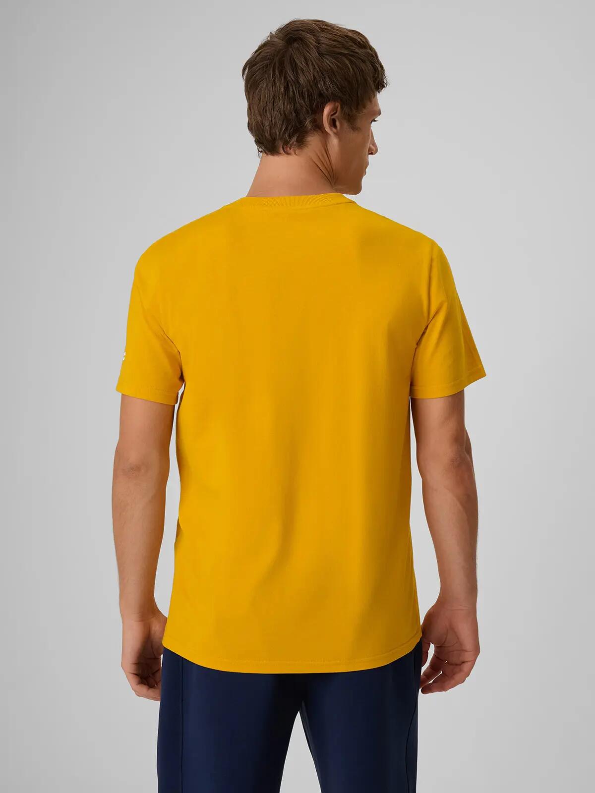 4F T-shirt regular z nadrukiem męski 6/6