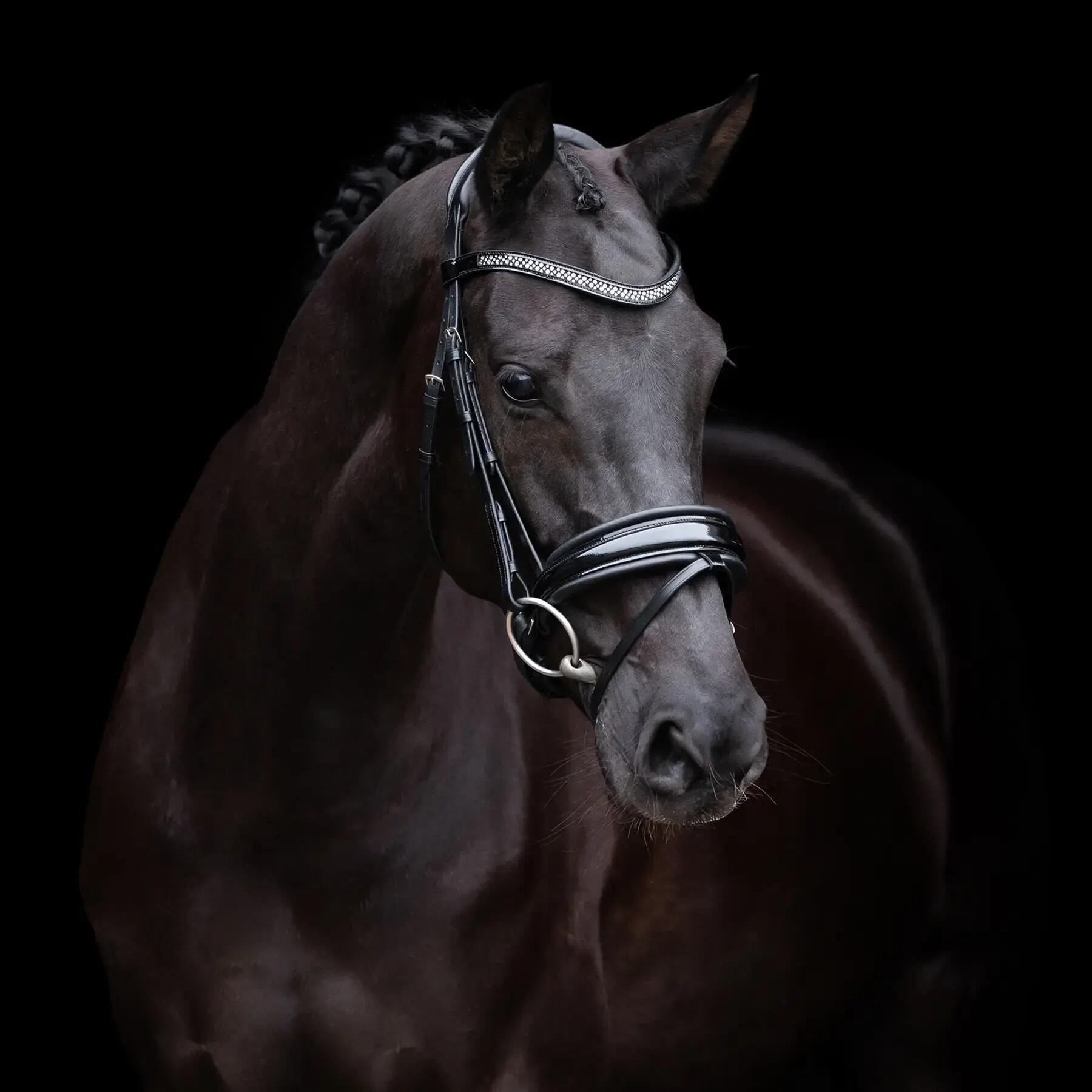 HV POLO picture