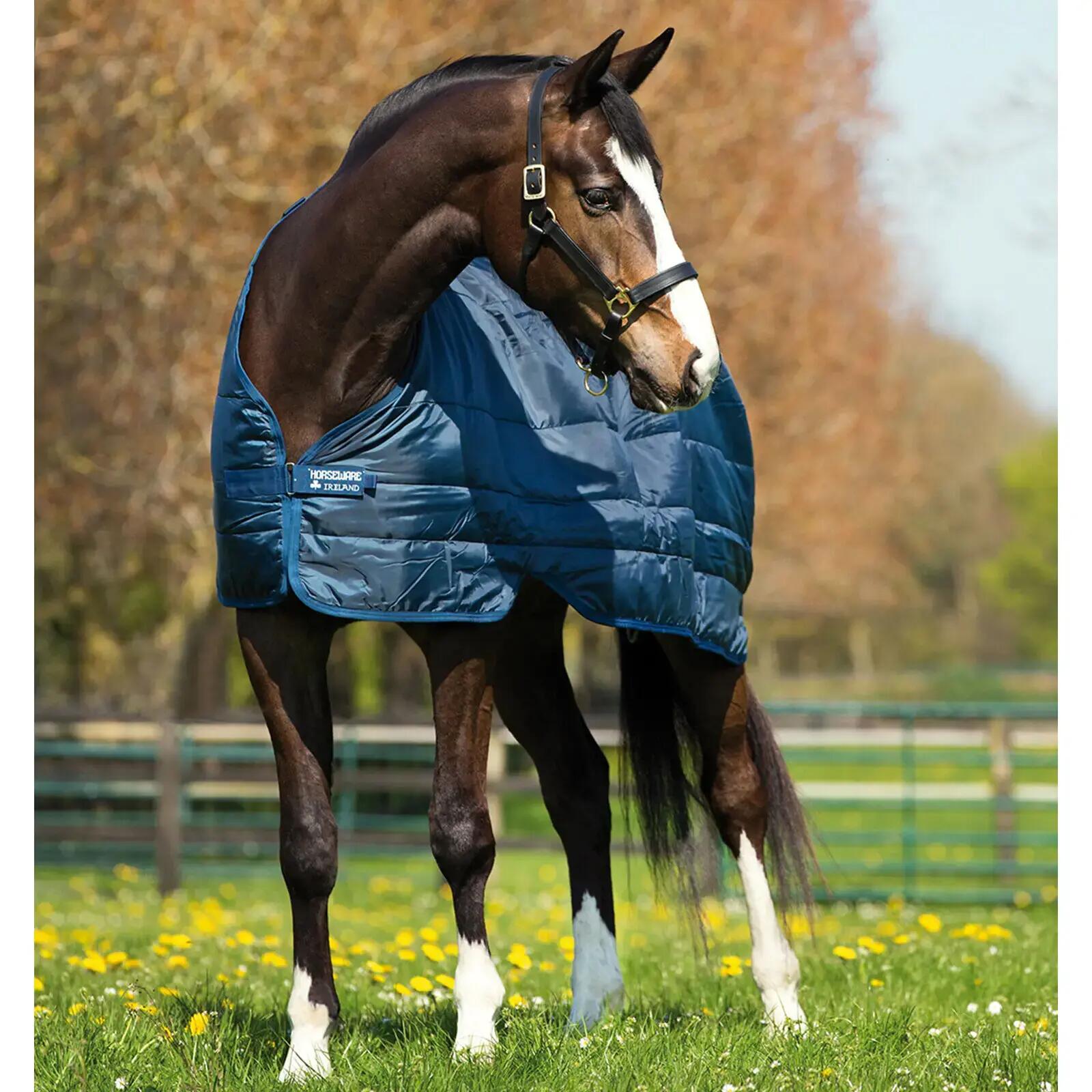 HORSEWARE IRELAND picture