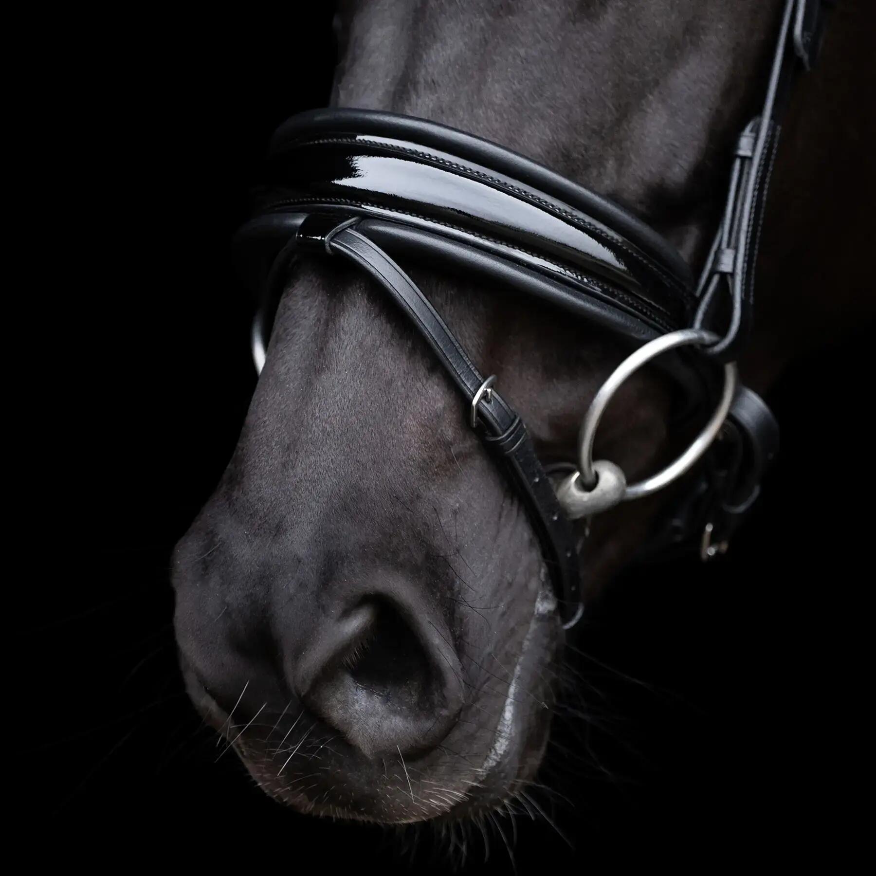 Bridon d'équitation HV Polo Diana 2/5