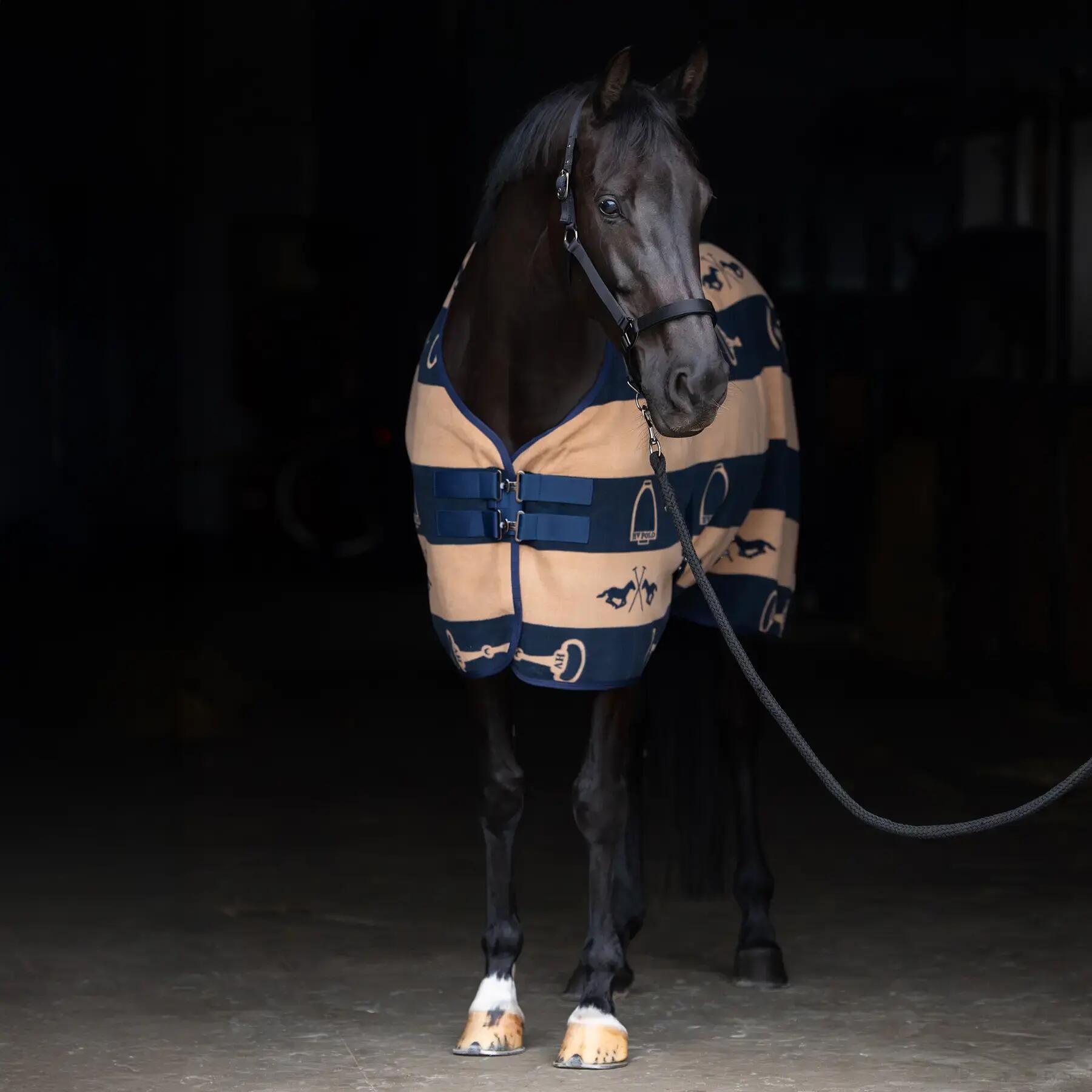 HV POLO picture