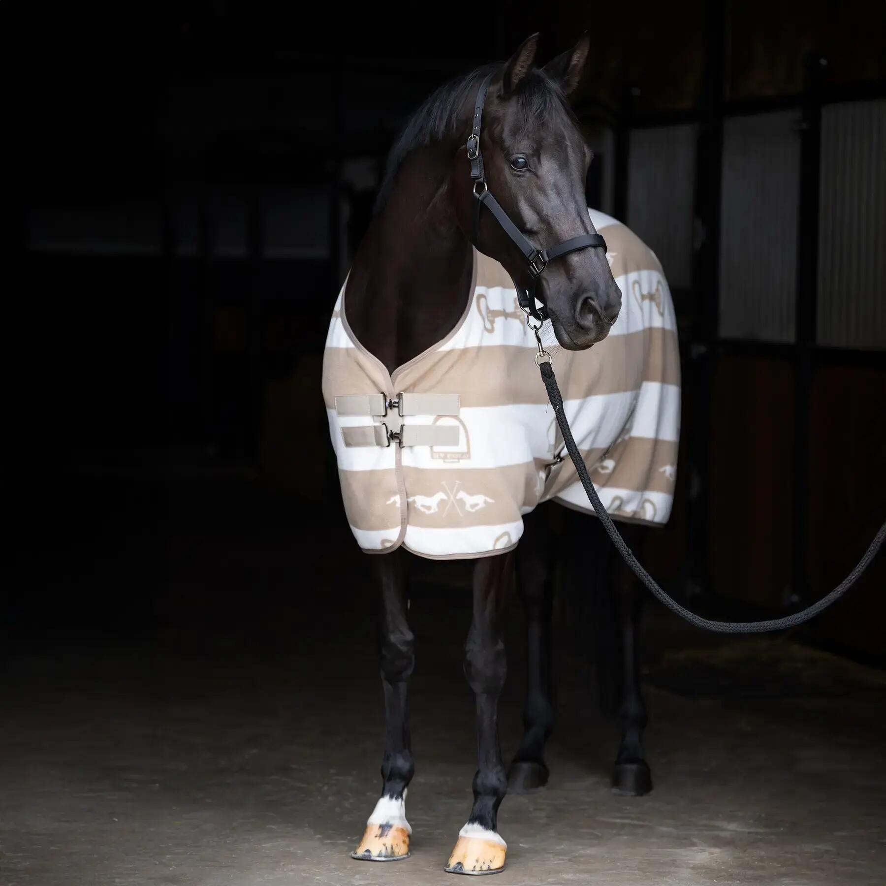 HV POLO picture