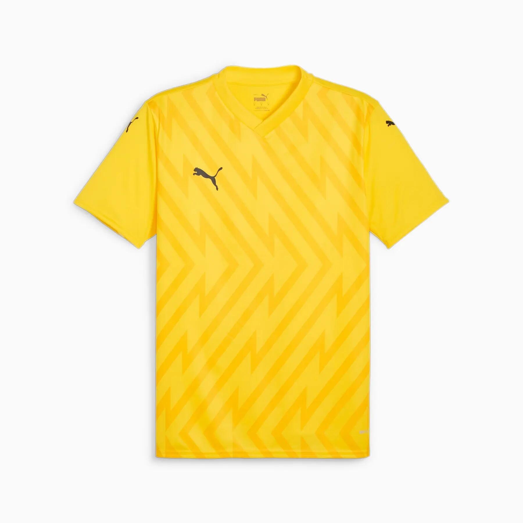 PUMA picture