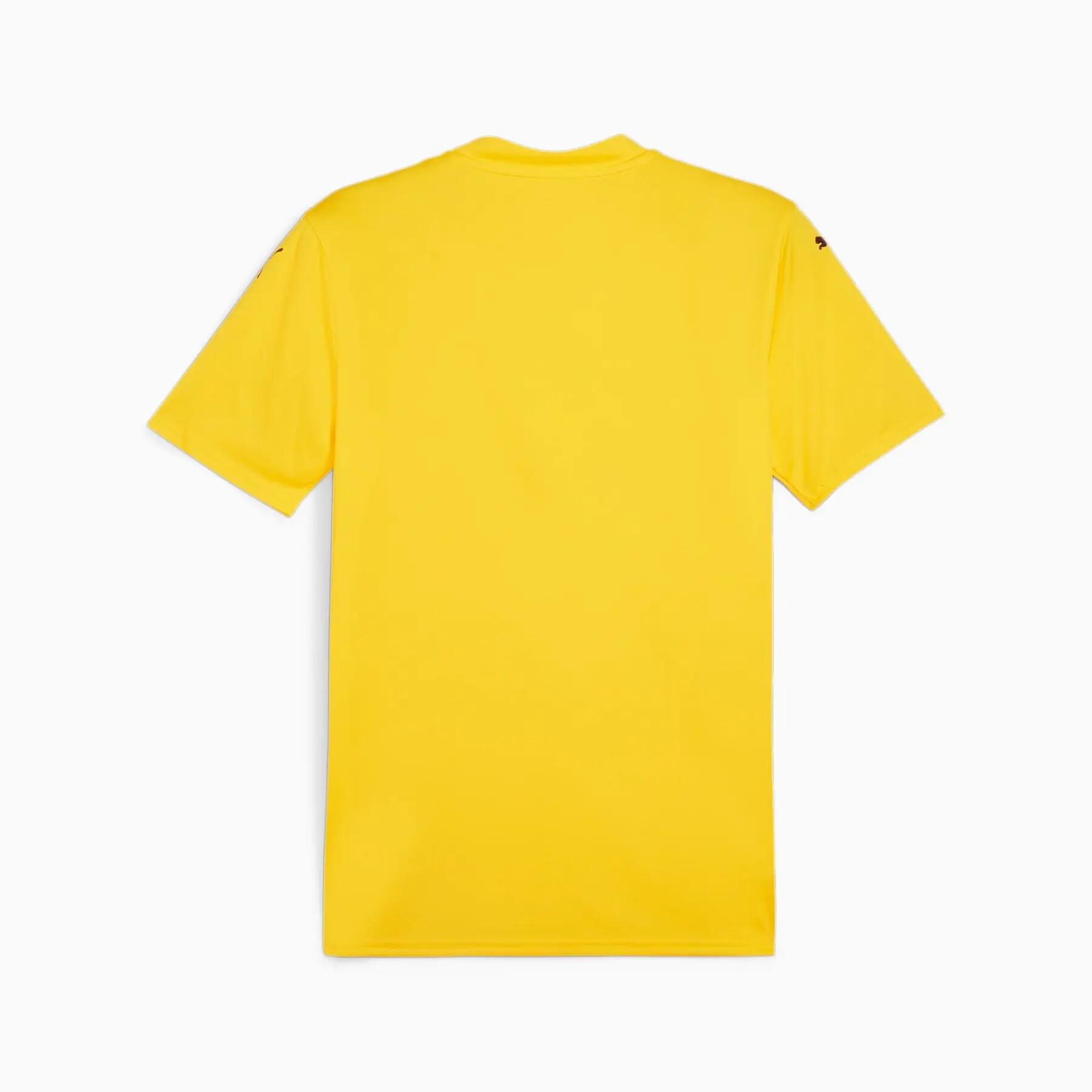 Puma TEAMGLORY JERSEY heren voetbalshirt 2/2