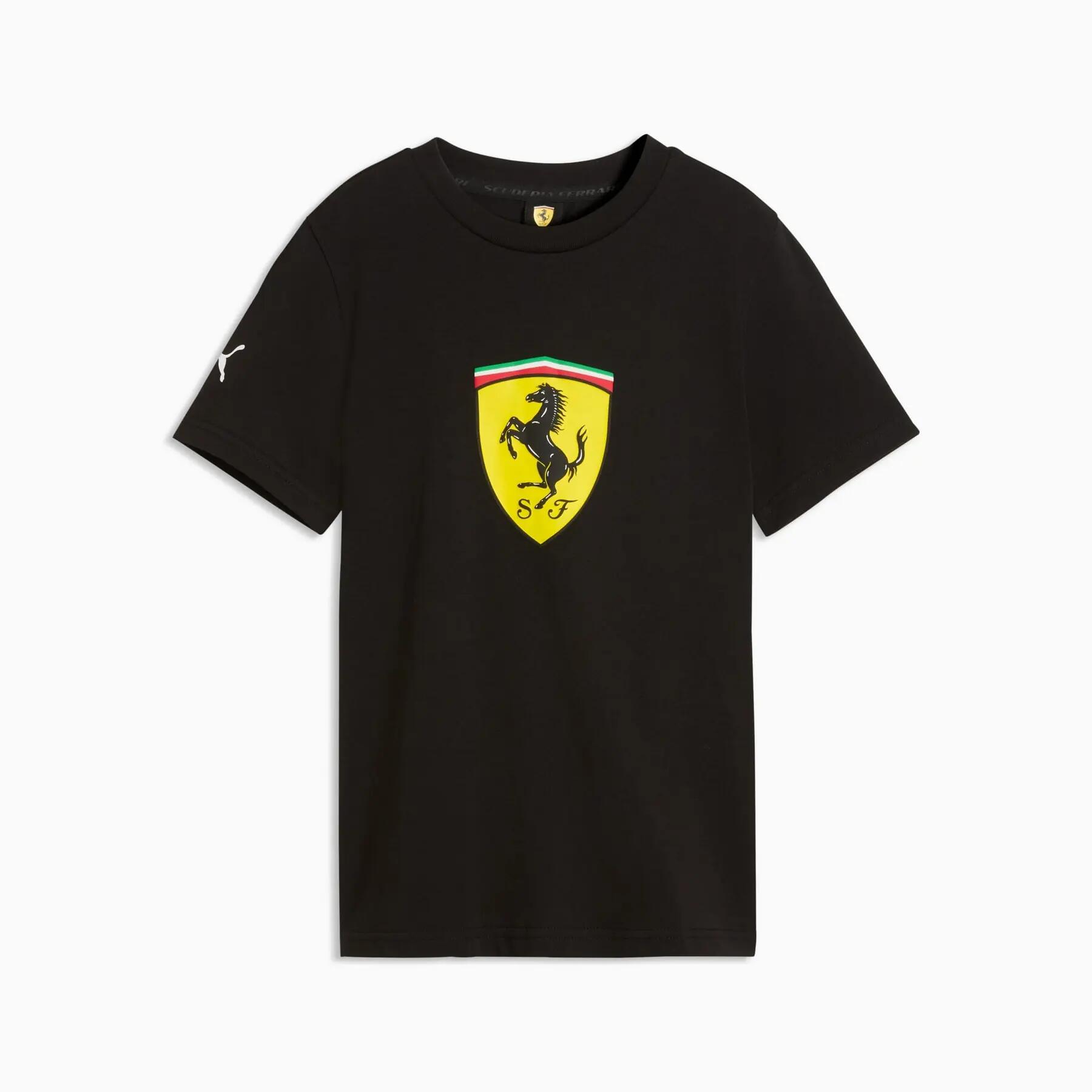 PUMA picture