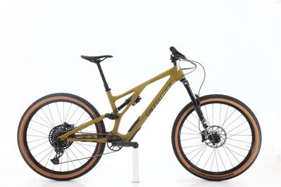 MTB ricondizionata · Stumpjumper Evo GX · Ottimo stato