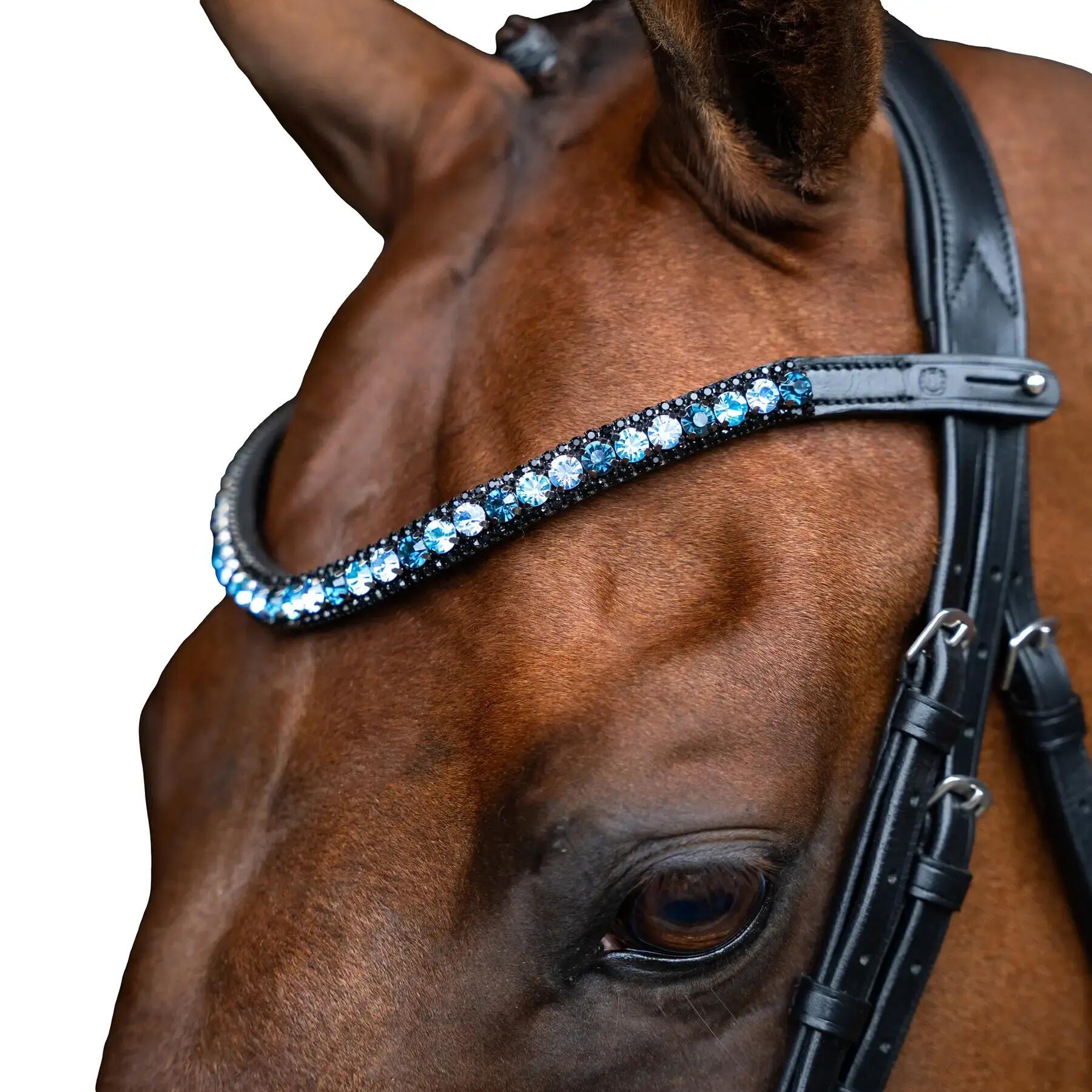 IMPERIAL RIDING picture
