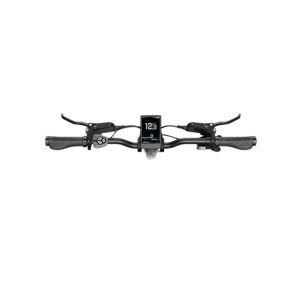 L20 3.0 Pro - Bicicleta plegable eléctrica - 20 pulgadas - 250W - Champán 7/7