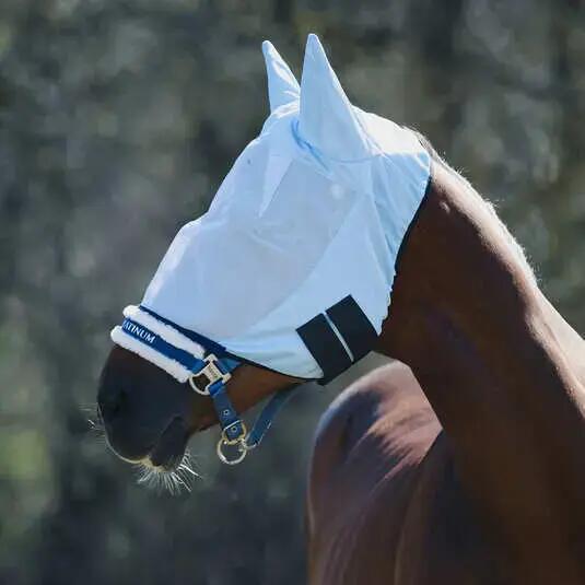 HORZE picture