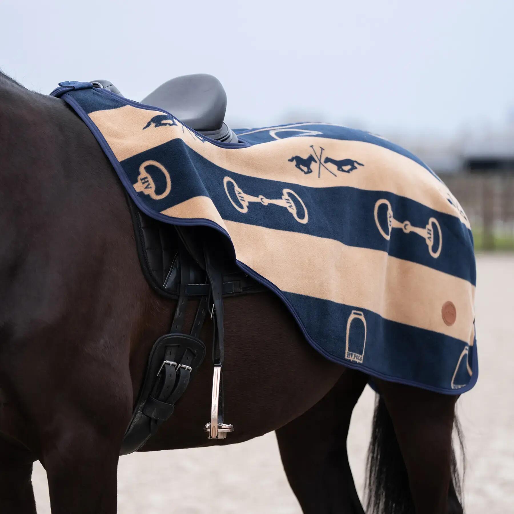 HV POLO picture