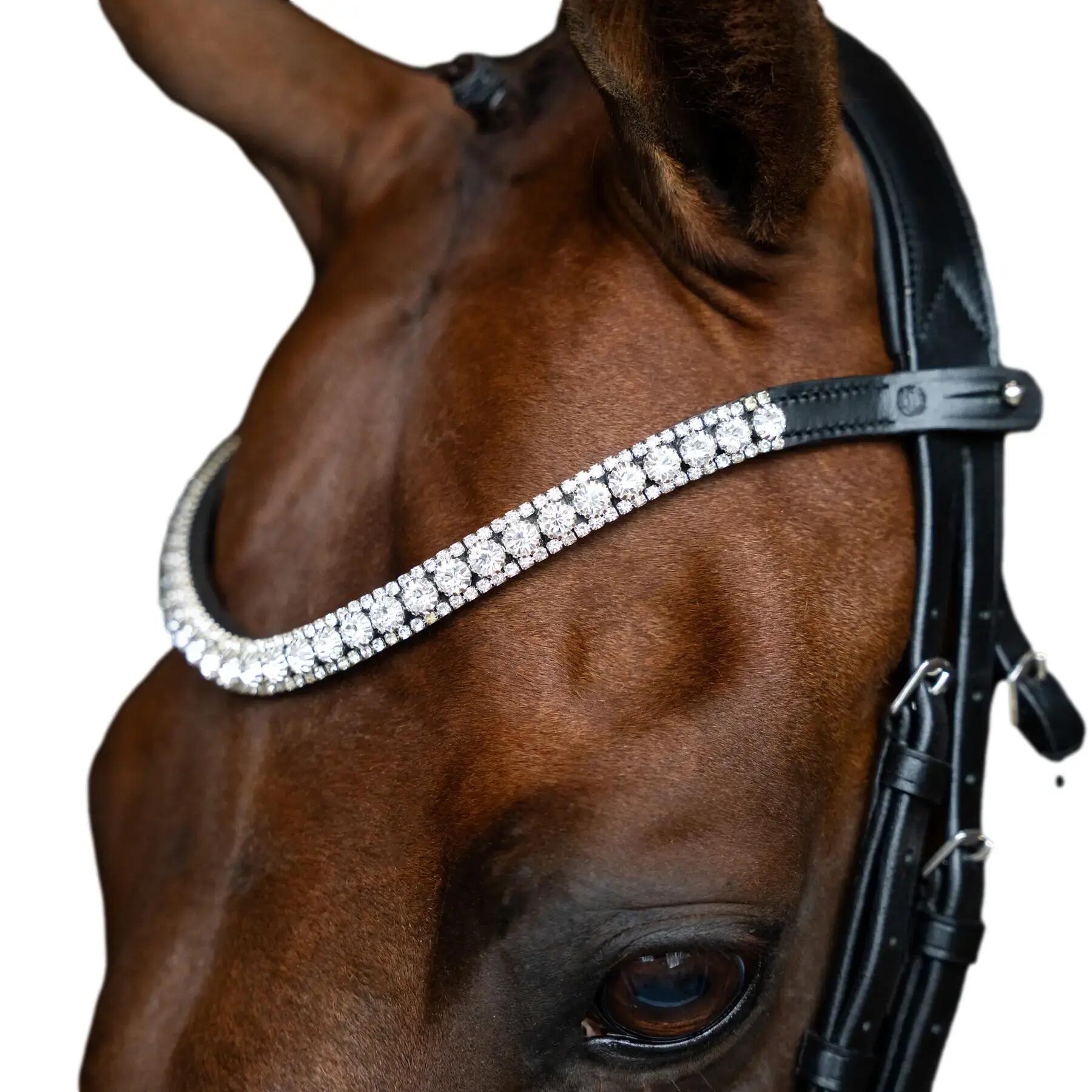 IMPERIAL RIDING picture