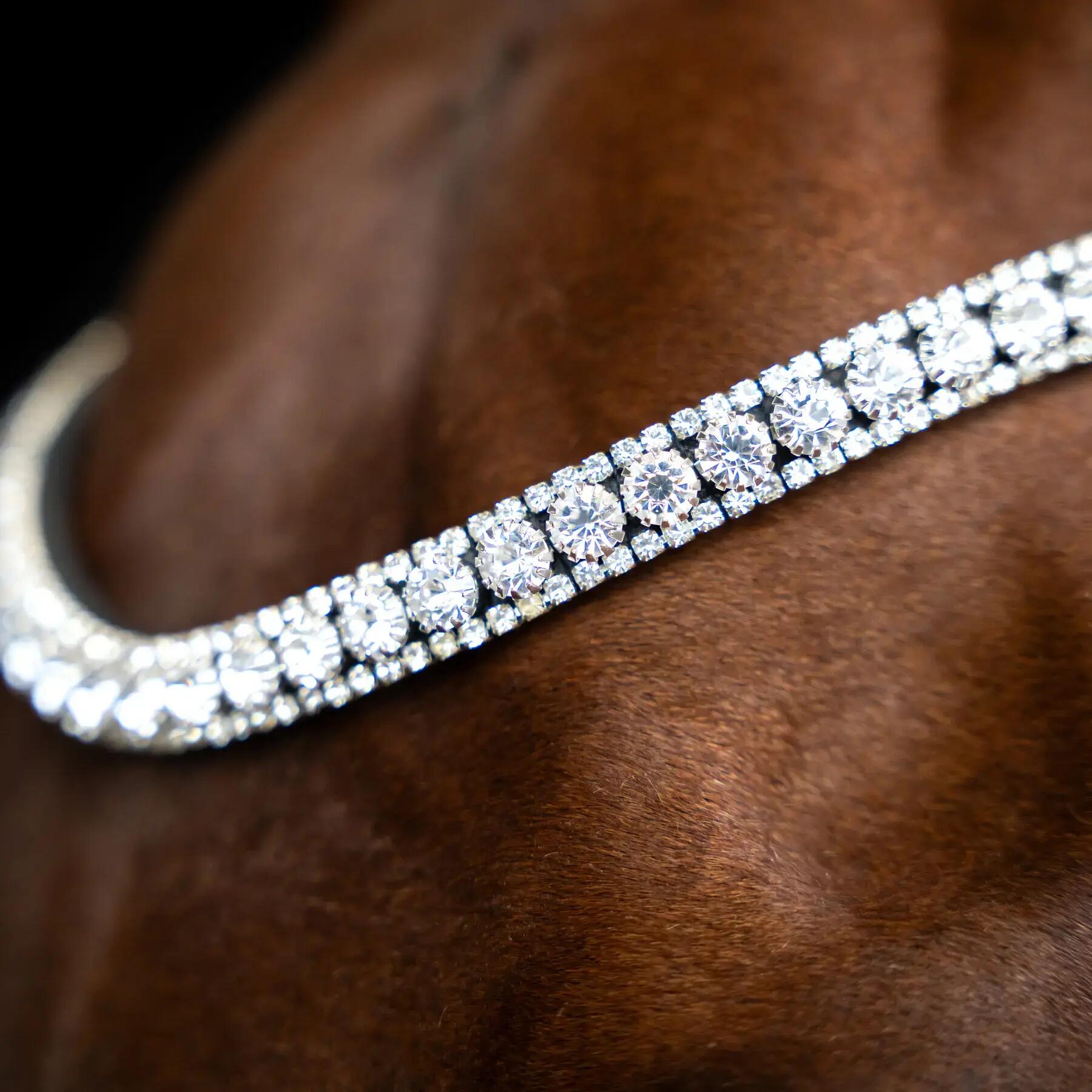 Frontale per cavallo Imperial Riding Slim 2/2