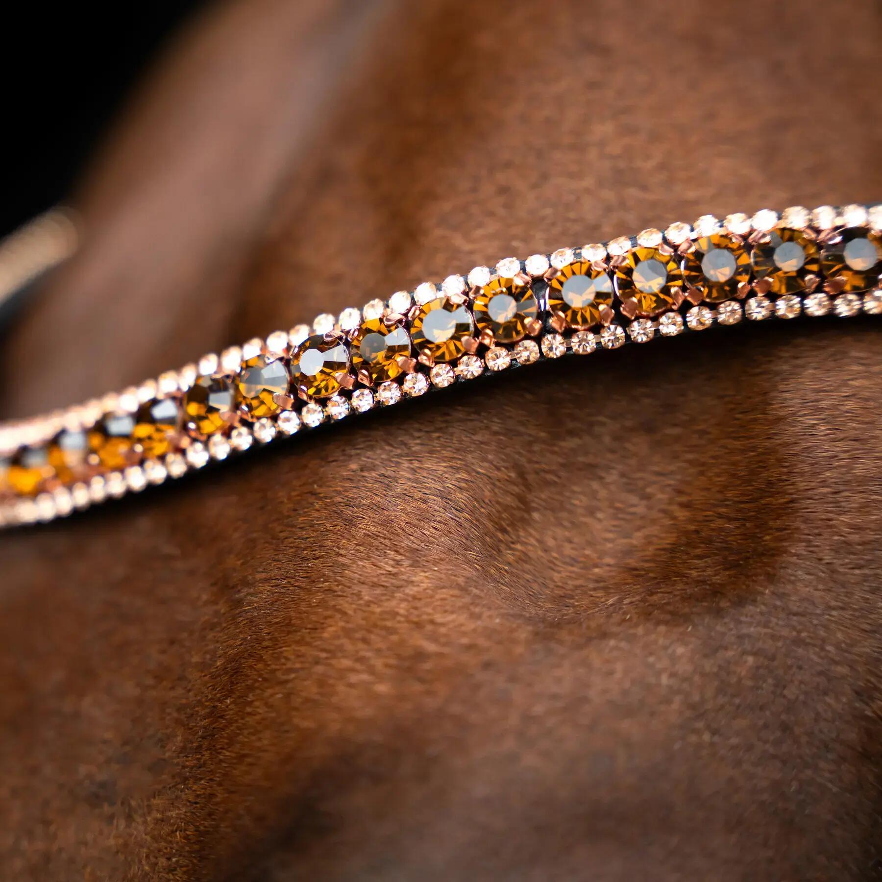 Frontale per cavallo Imperial Riding Grande 2/2