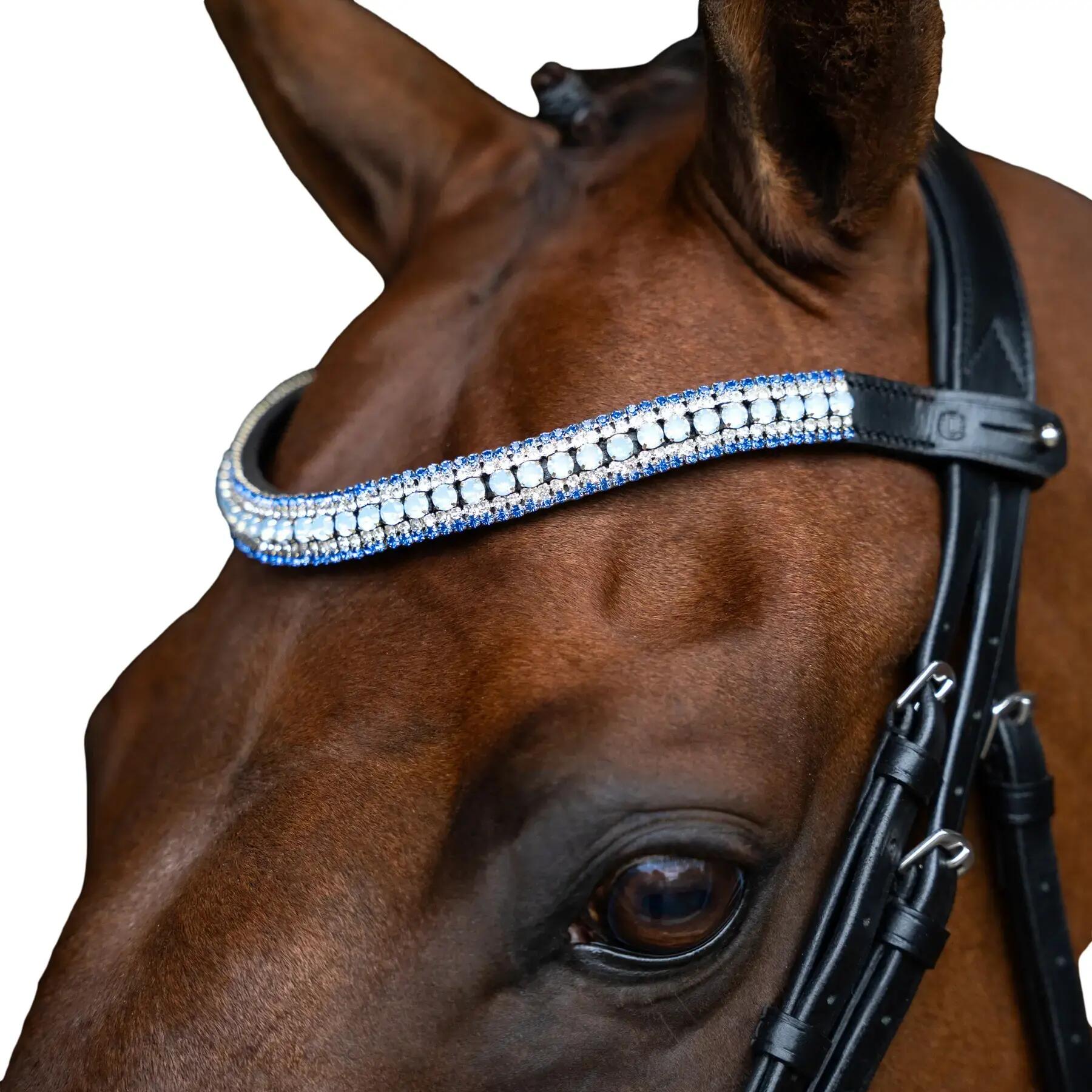 IMPERIAL RIDING picture