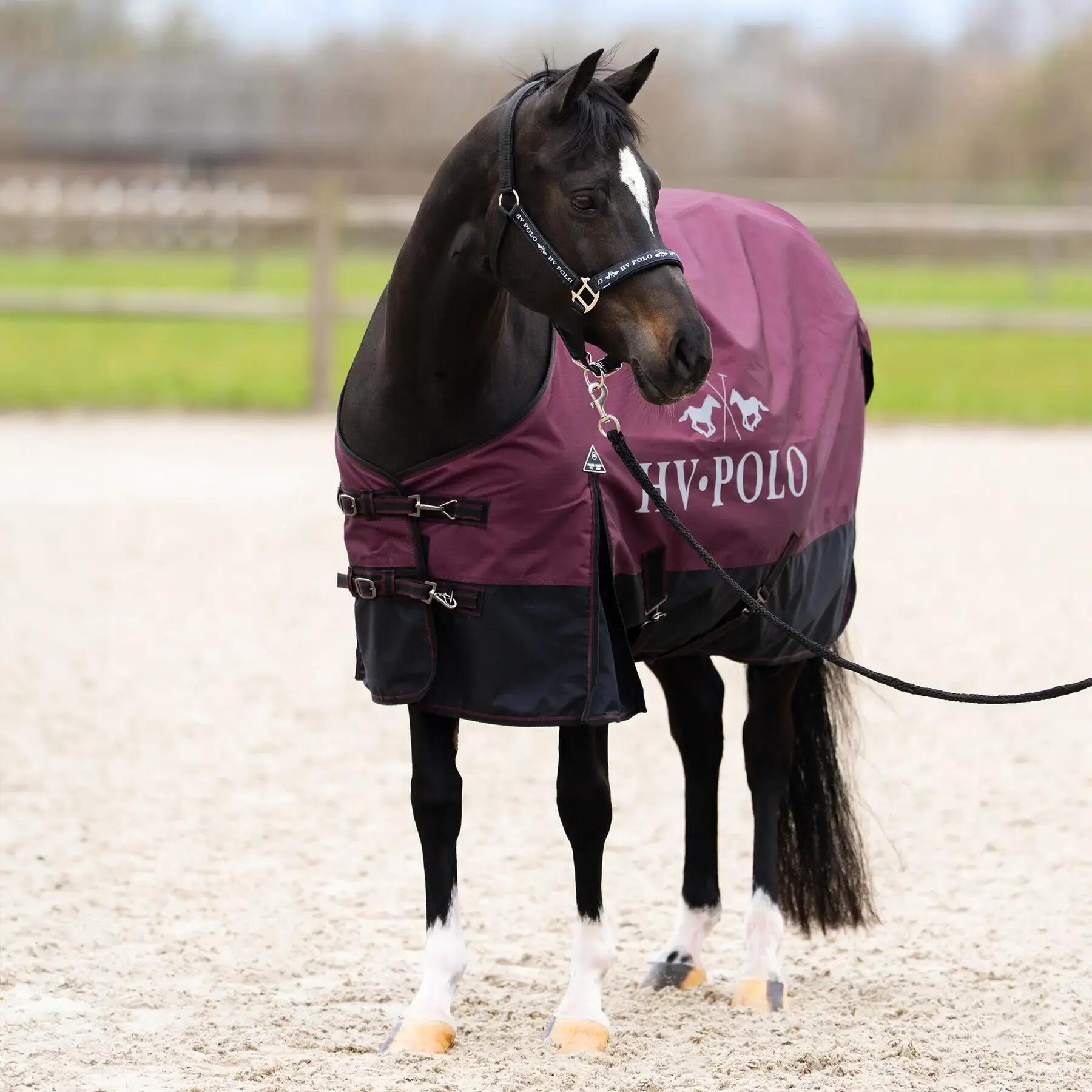 Coperta da paddock per cavalli HV Polo Sacha 0g 3/3