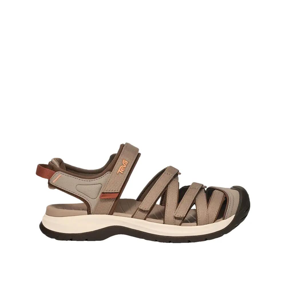 TEVA picture