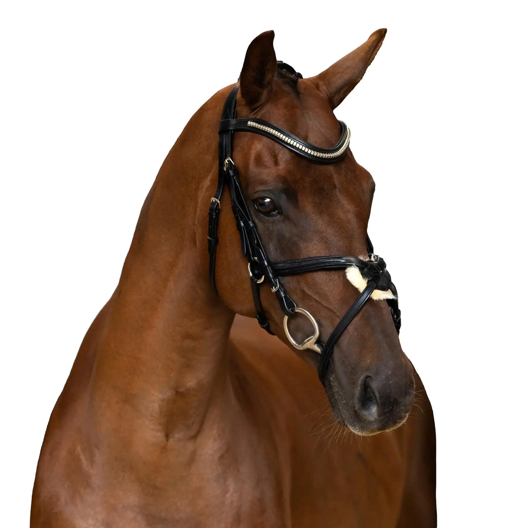 IMPERIAL RIDING picture