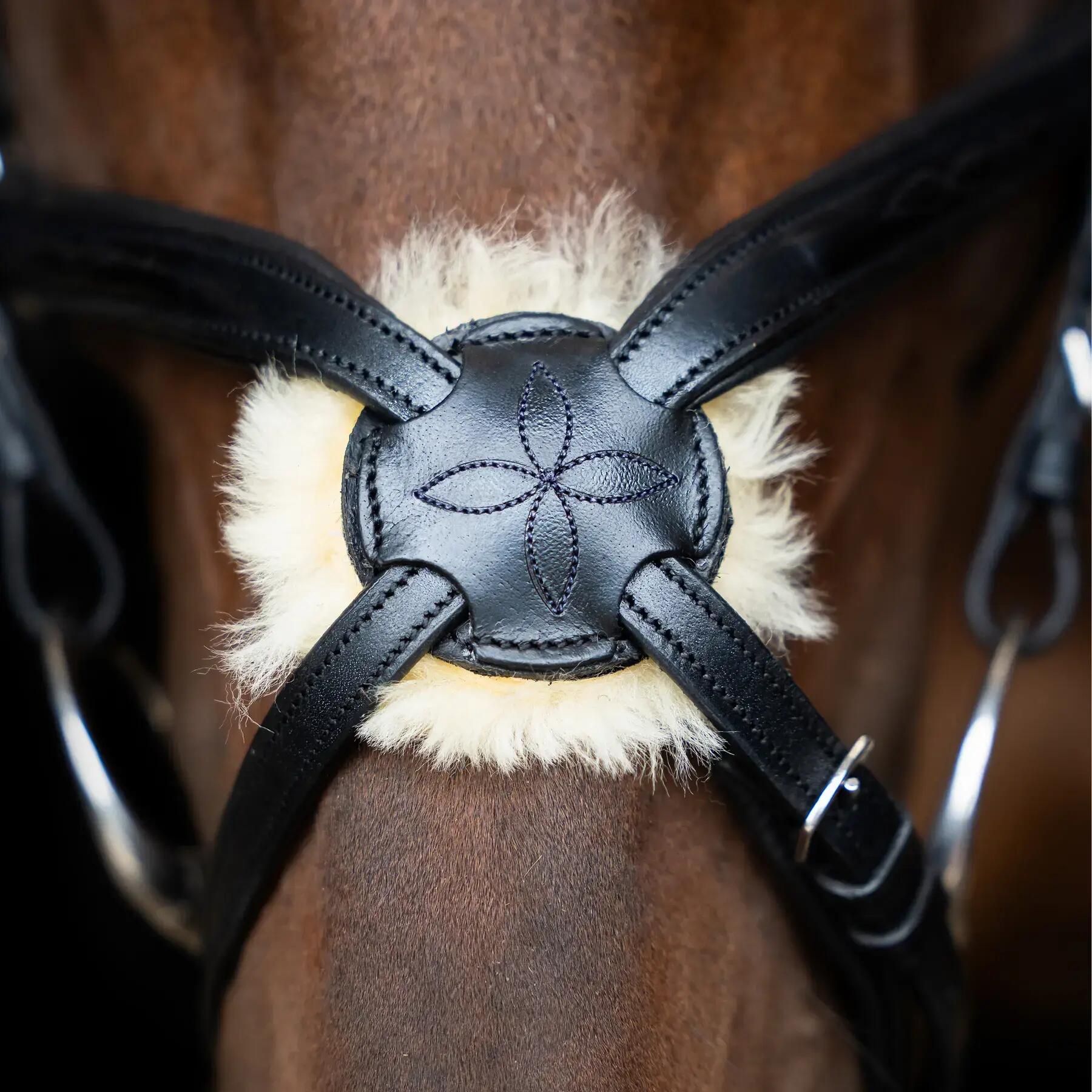 Mexican Reitstrick Imperial Riding 2/4