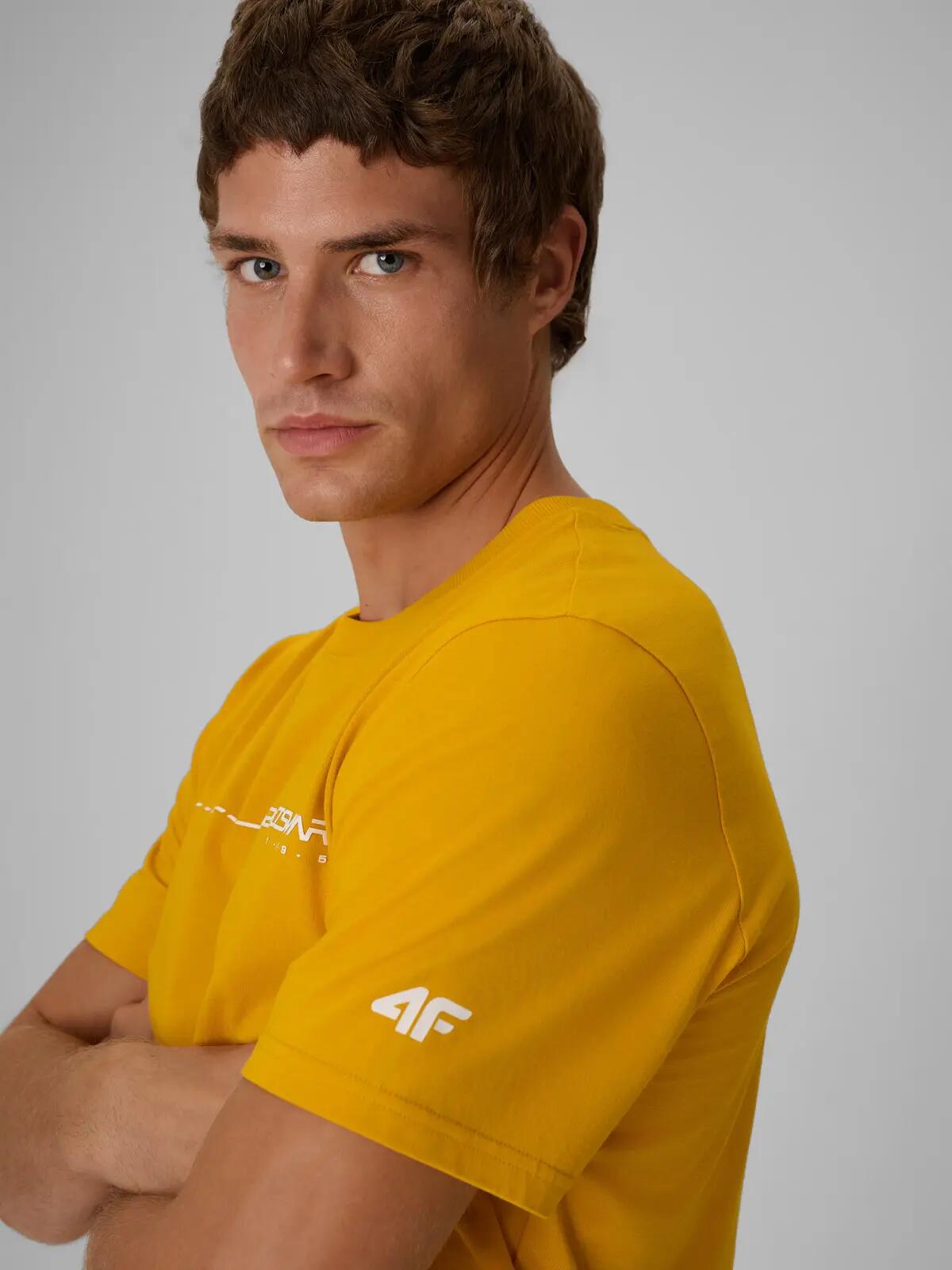 4F T-shirt regular z nadrukiem męski 5/6