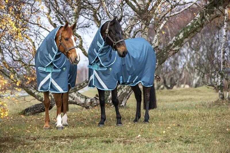 Outdoor horse blanket Horseware Amigo AmEco 12 Plus Turnout 250g 2/2