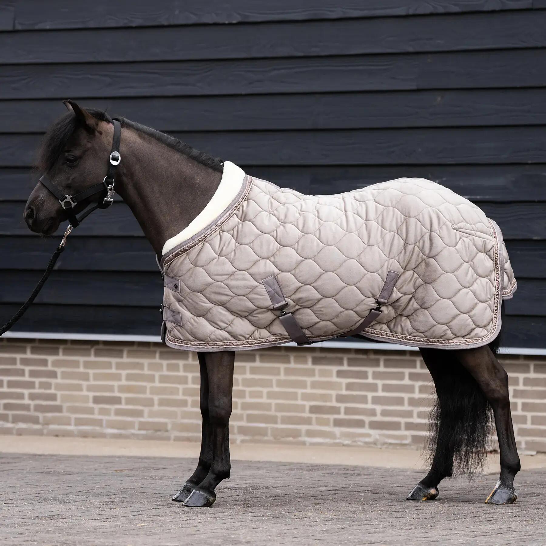 Coperta da box per cavalli Imperial Riding Bandit 0g 3/7