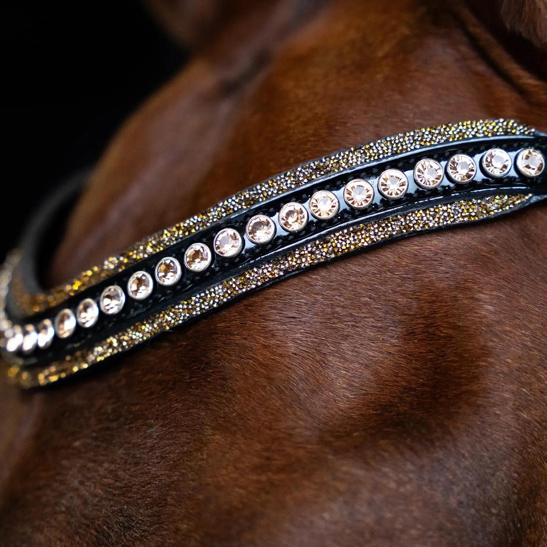 Frontale per cavallo Imperial Riding Maxima 2/2
