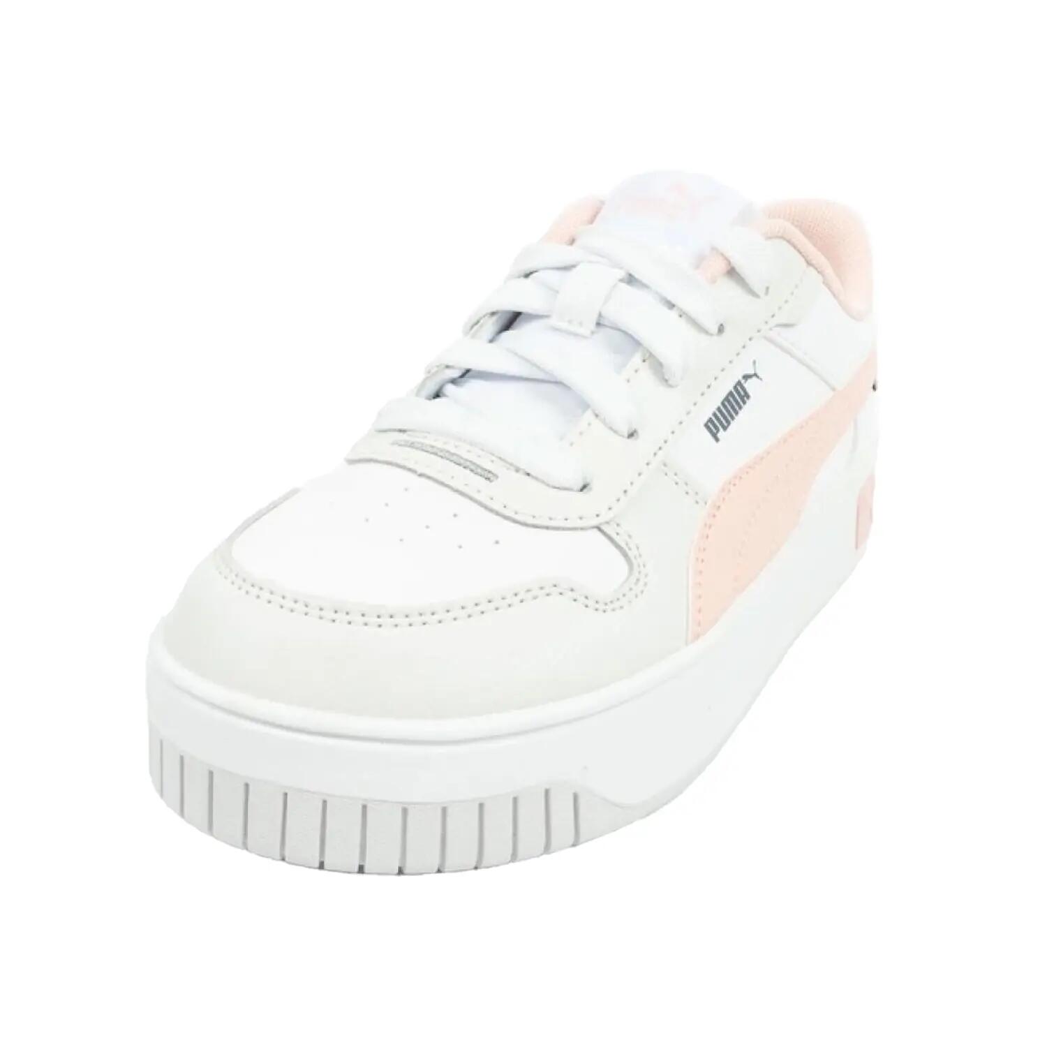 PUMA picture