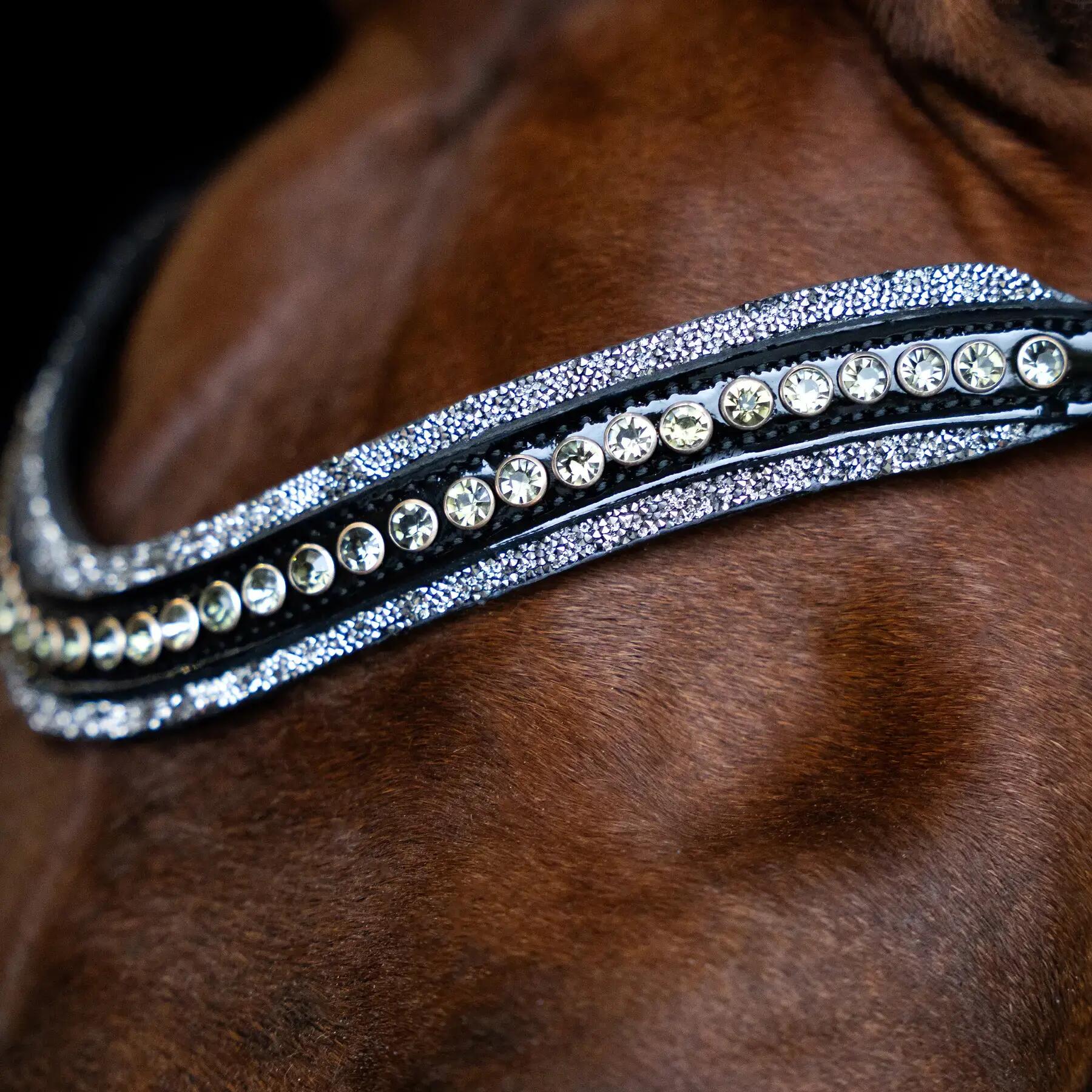 Frontale per cavallo Imperial Riding Maxima 2/2
