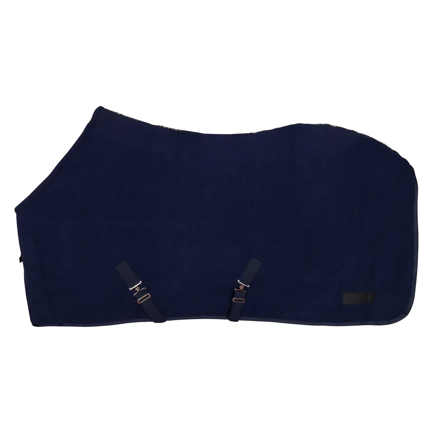 HV POLO picture