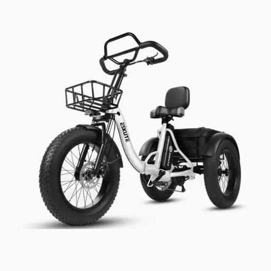 Tricycle Électrique ESKUTE T302Pro - Batterie Lithium 48V 20.8Ah - Pneu 20