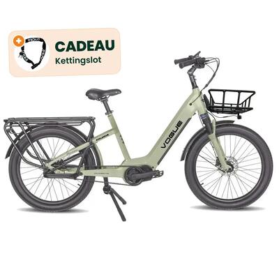 Avalanche elektrische longtail - 110 nm middenmotor, riem, 24 inch - cementgrijs