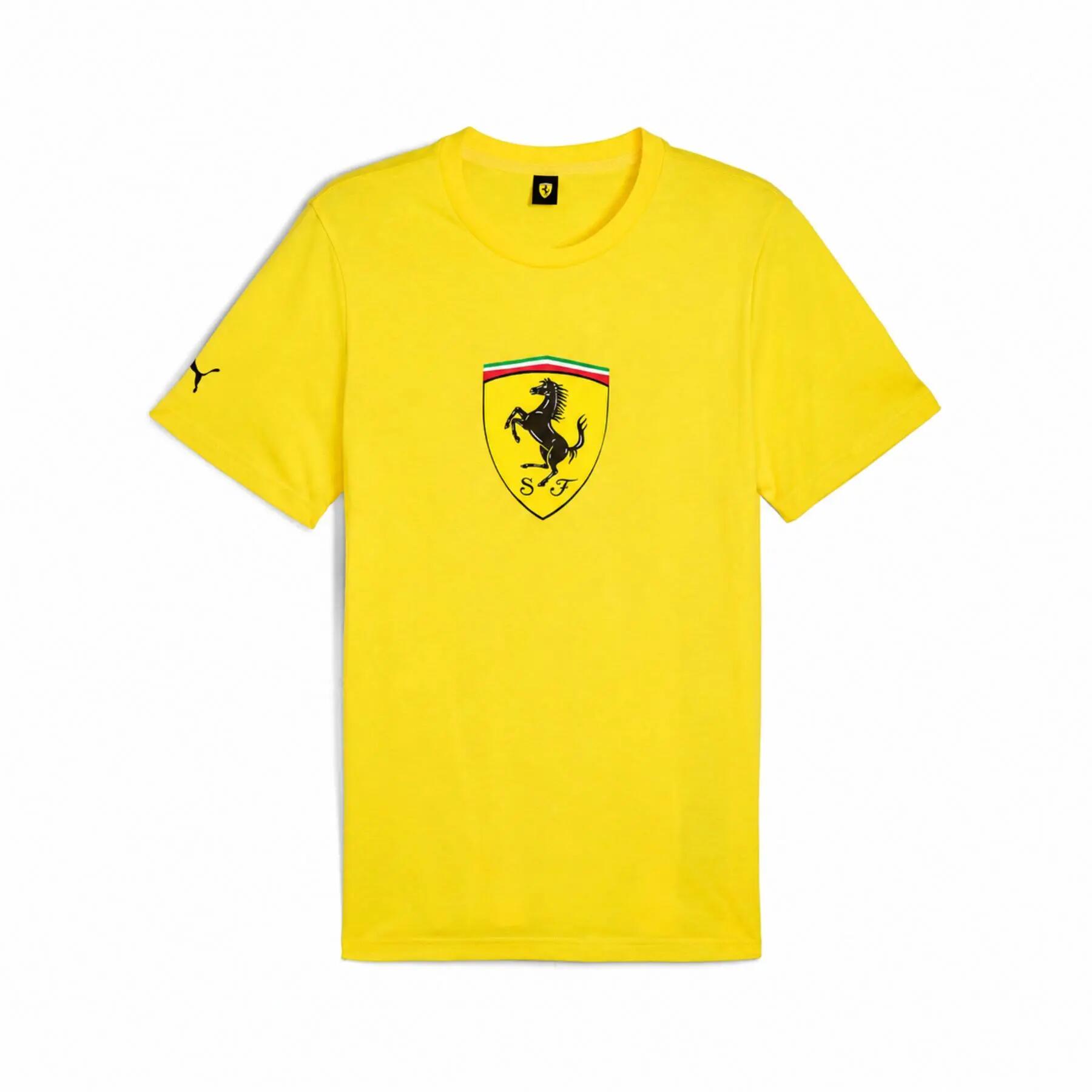 PUMA picture