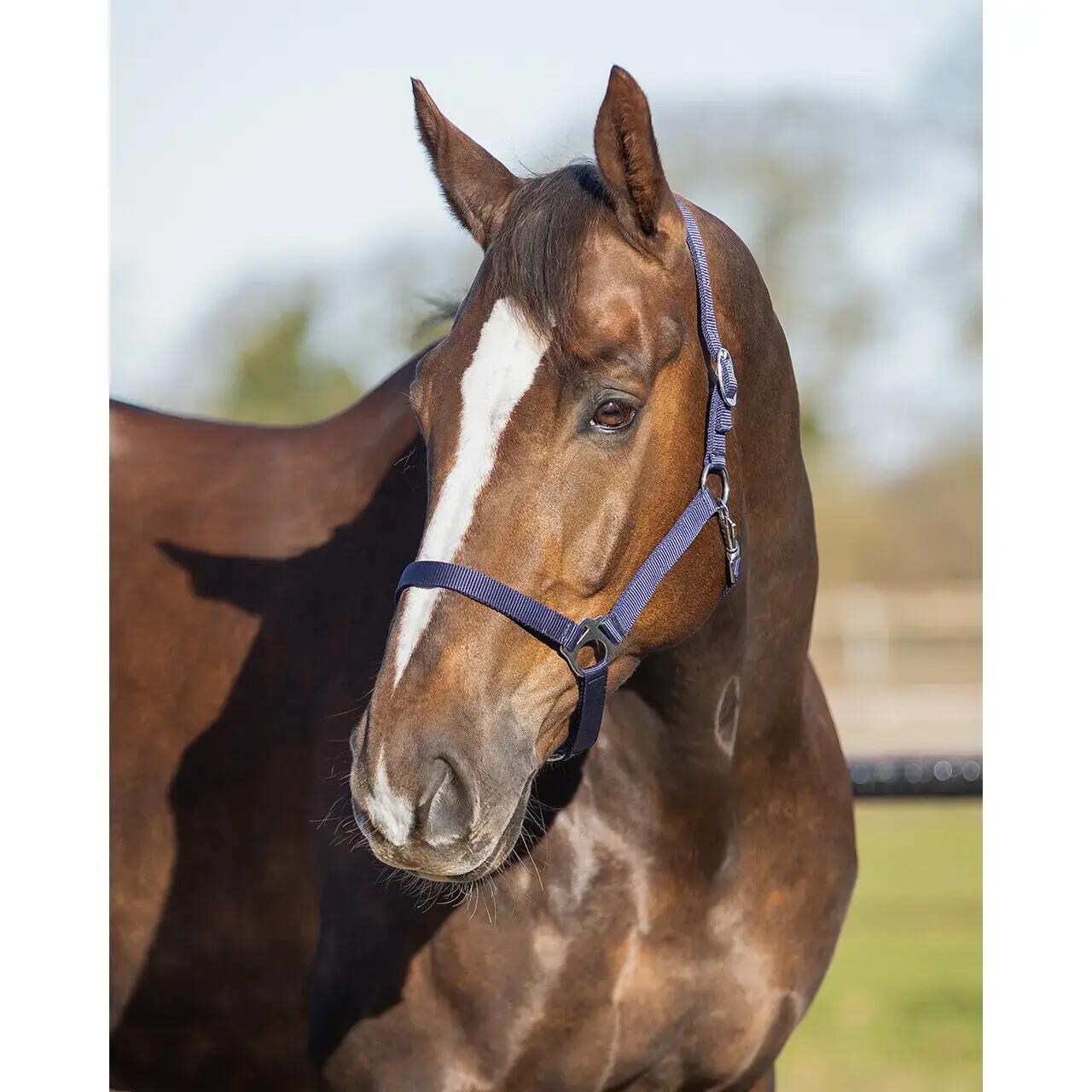 Nylon halter QHP Basic 2/3