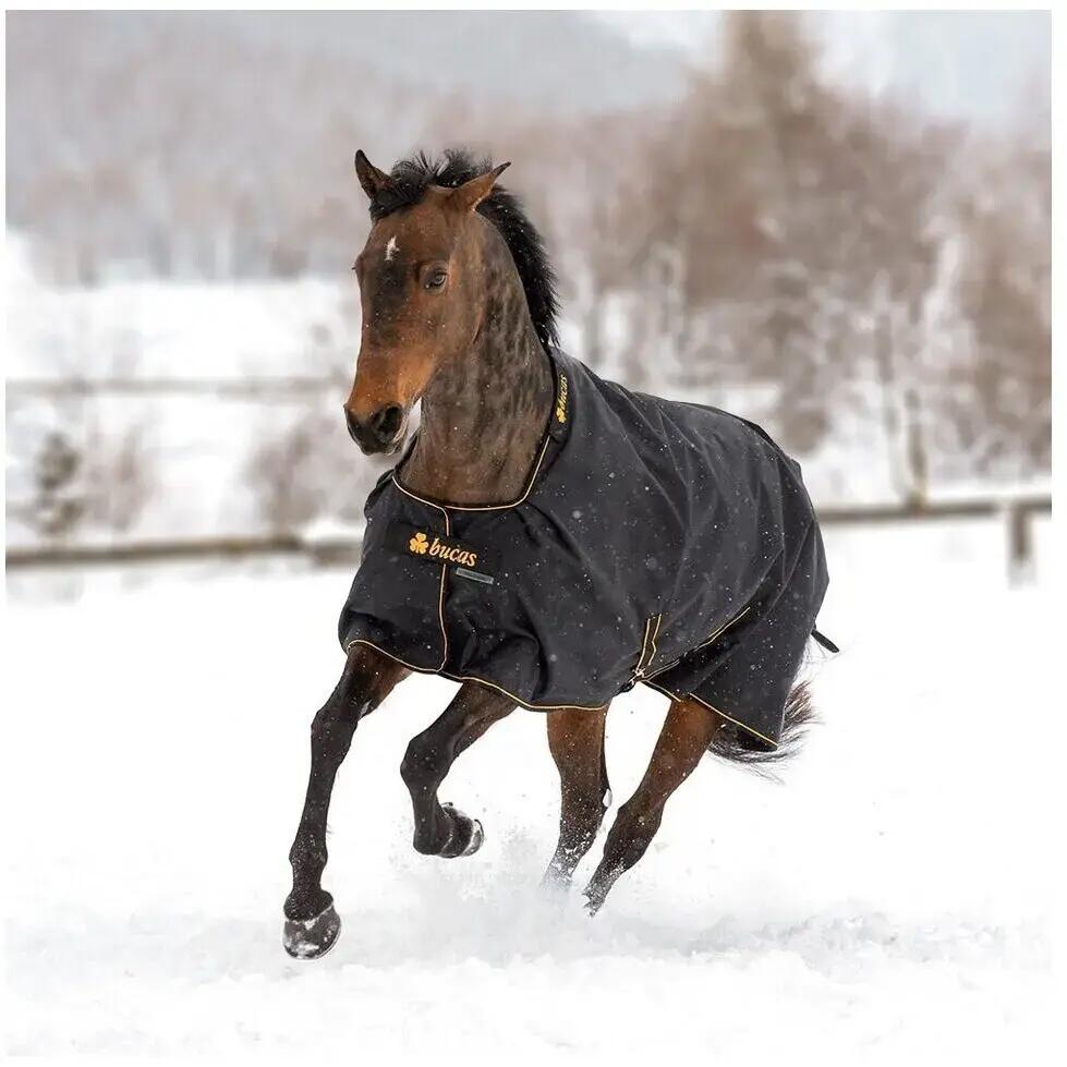 Coperta da paddock per cavalli con copricollo Bucas Irish Turnout 150 75" 140 g 2/7