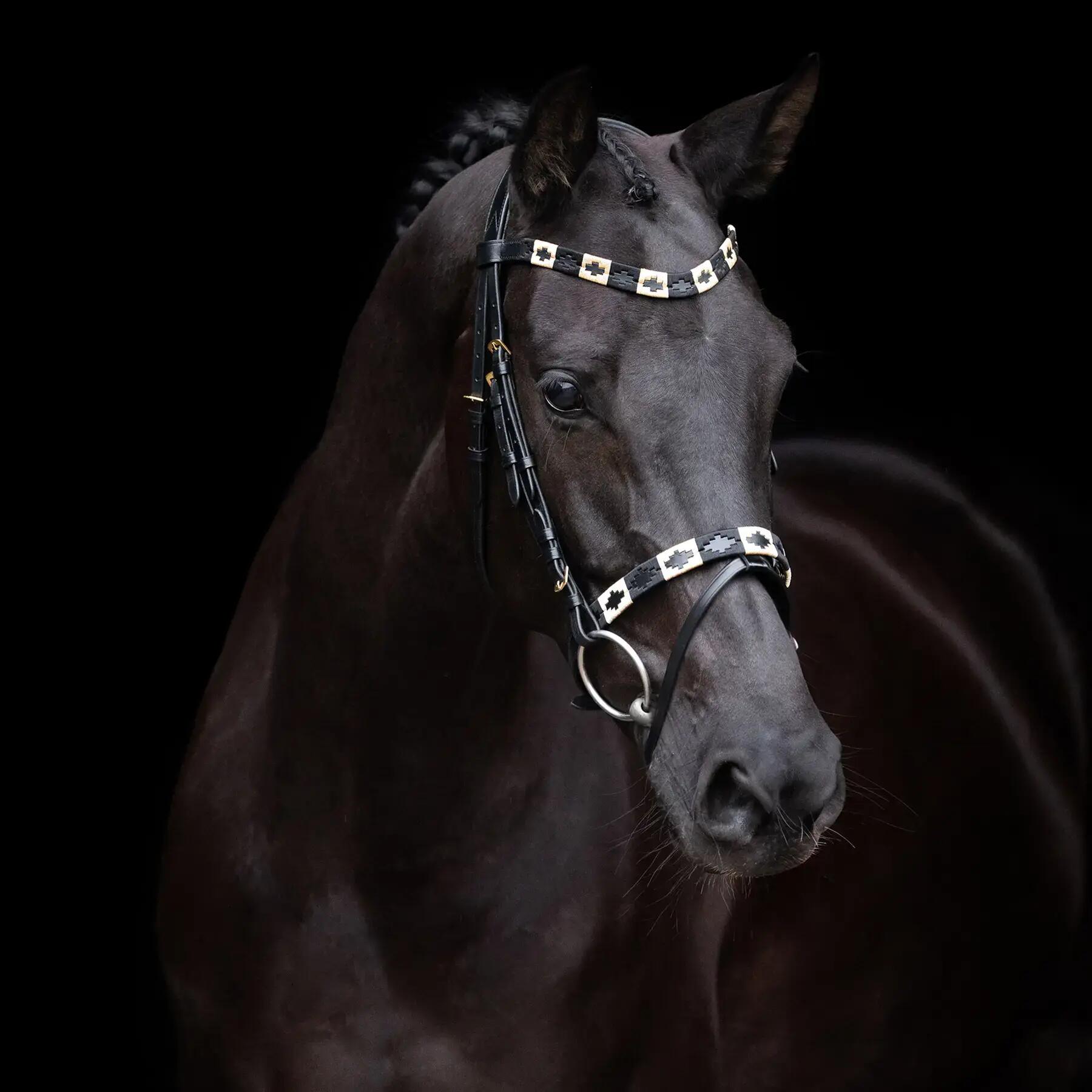 HV POLO picture