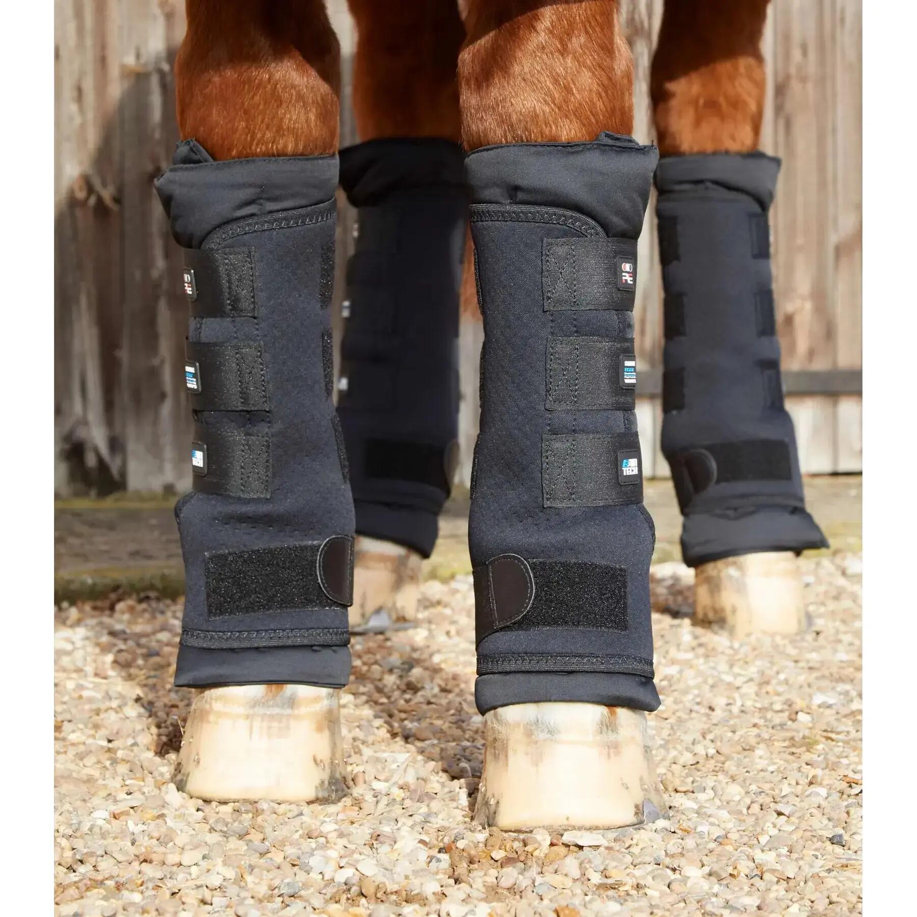 PREMIER EQUINE picture