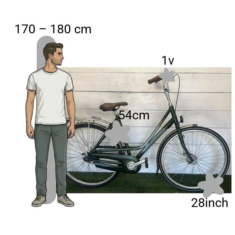 De segunda mano Gazelle Davos 2/4