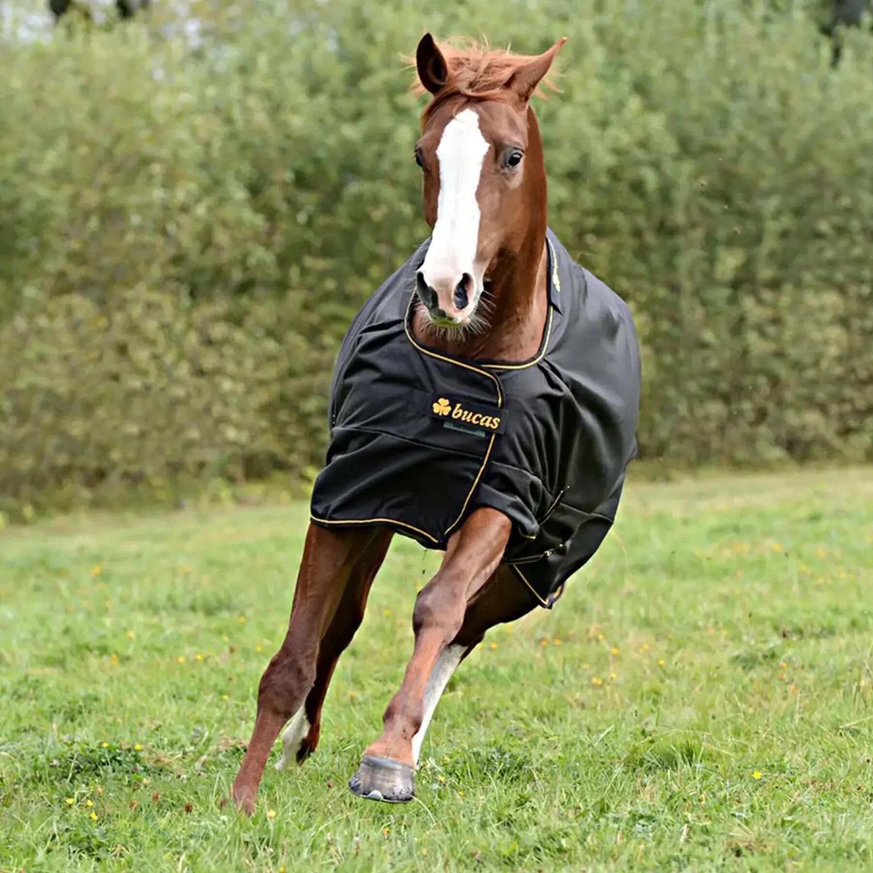 Coperta da paddock per cavalli con copricollo Bucas Irish Turnout 150 72" 135 g 3/7