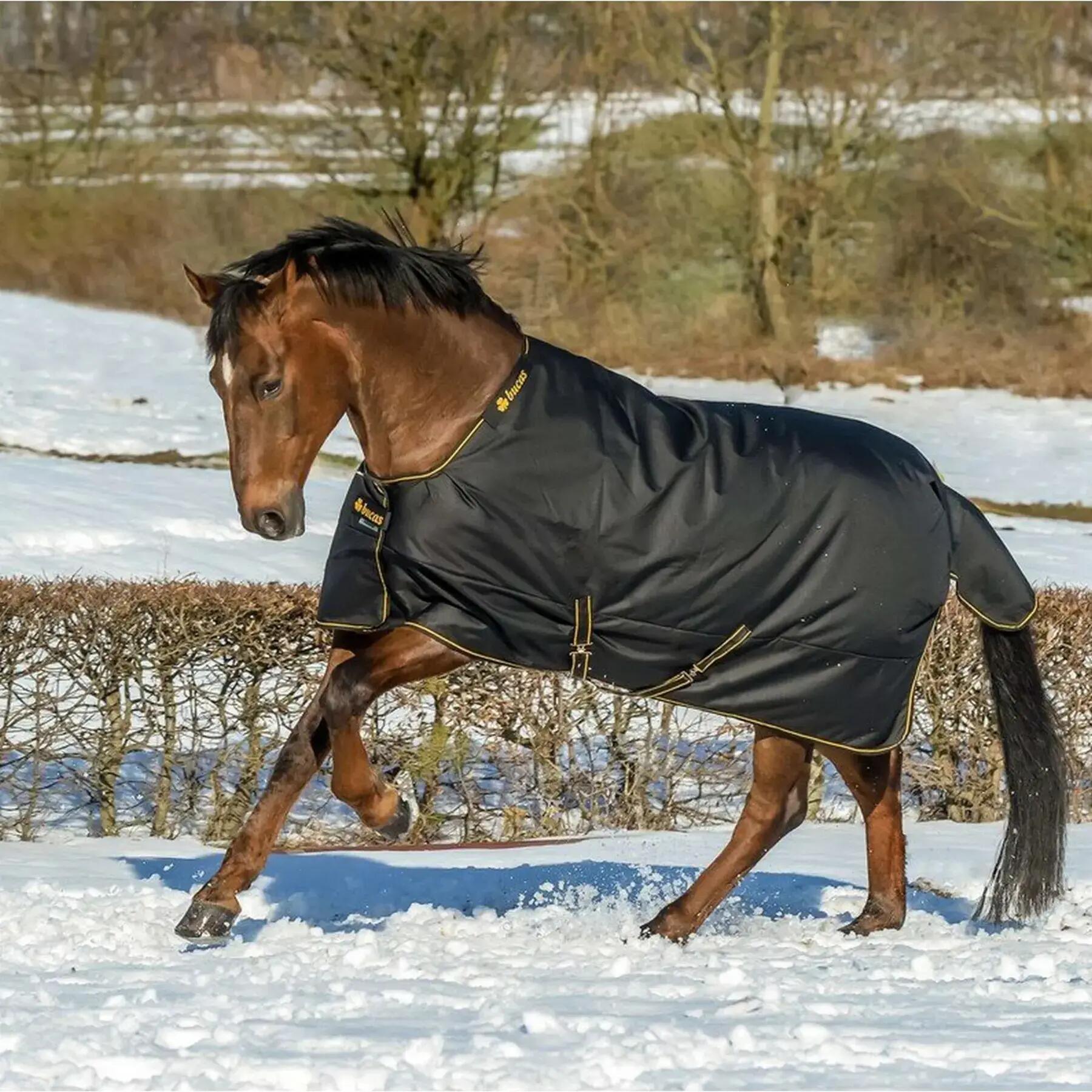 Coperta da paddock per cavalli con copricollo Bucas Irish Turnout 150 72" 135 g 2/7