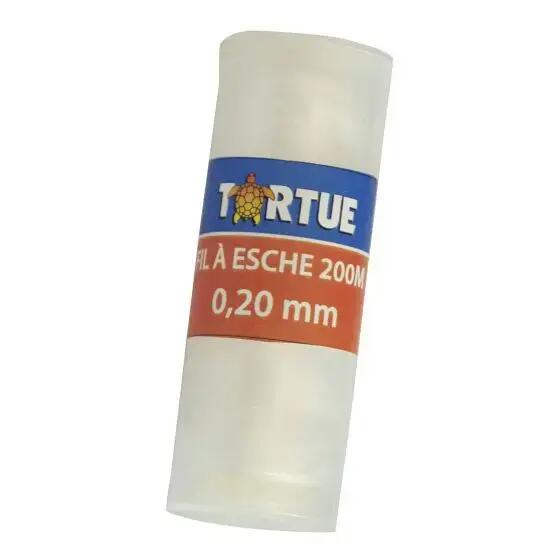 TORTUE picture