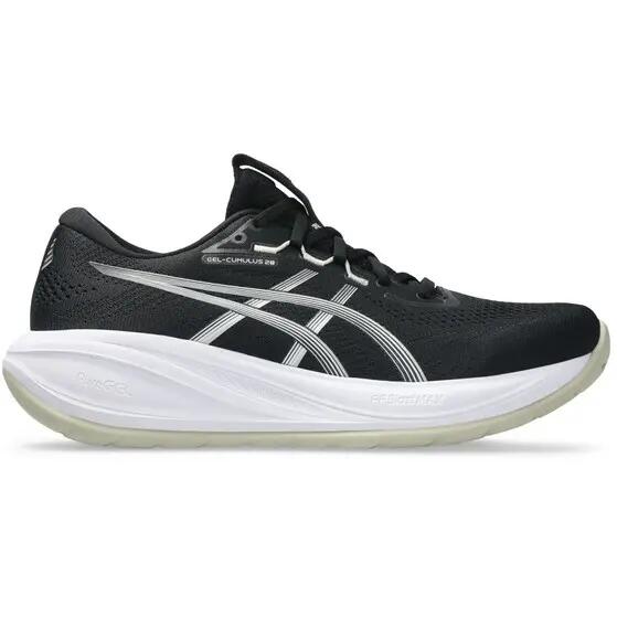 ASICS picture