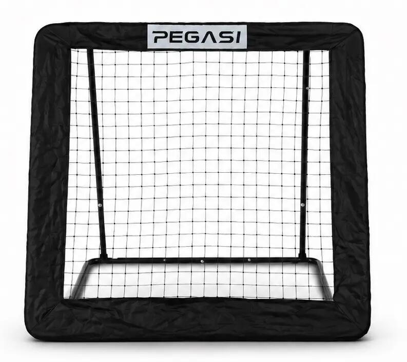 PEGASI picture