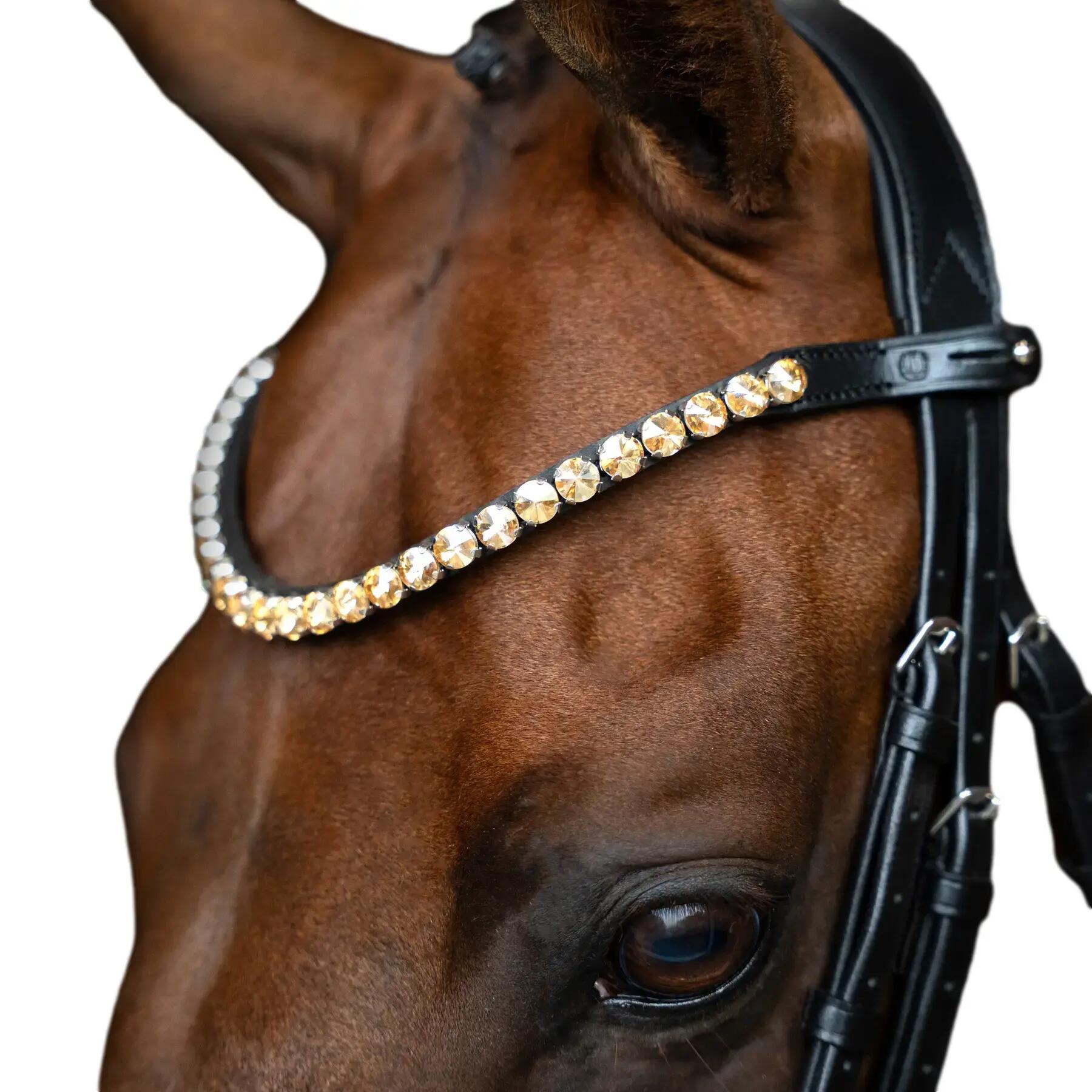 IMPERIAL RIDING picture