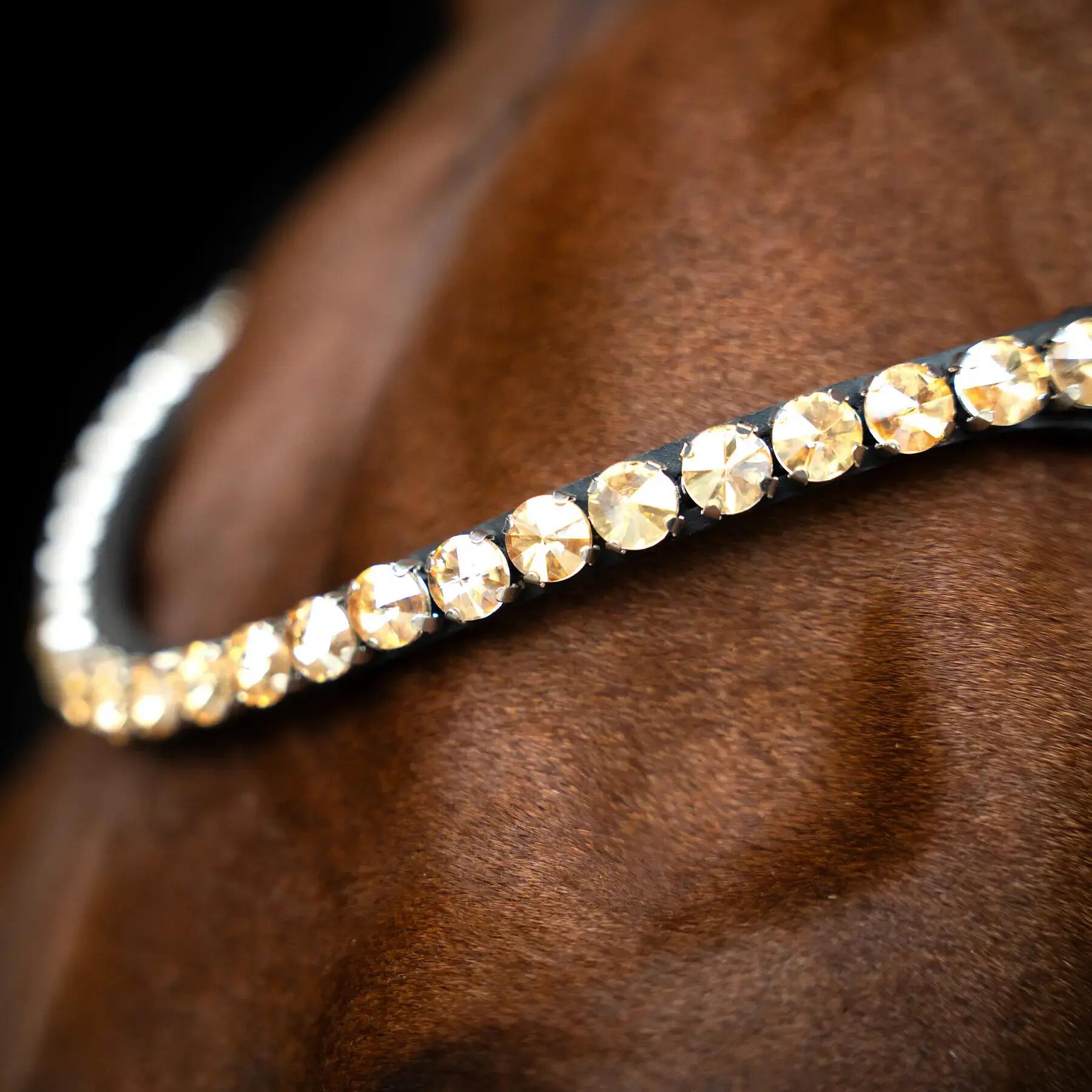 Frontale per cavallo Imperial Riding Grande 2/2