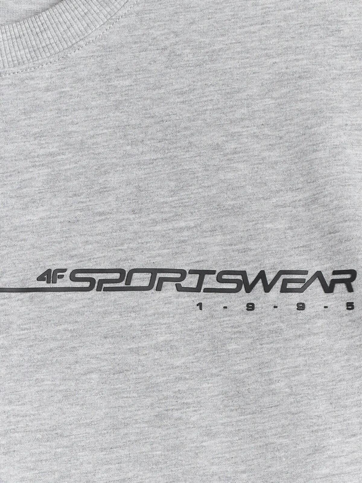 4F T-shirt regular z nadrukiem męski 2/6