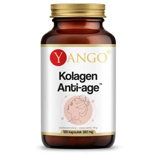 YANGO picture