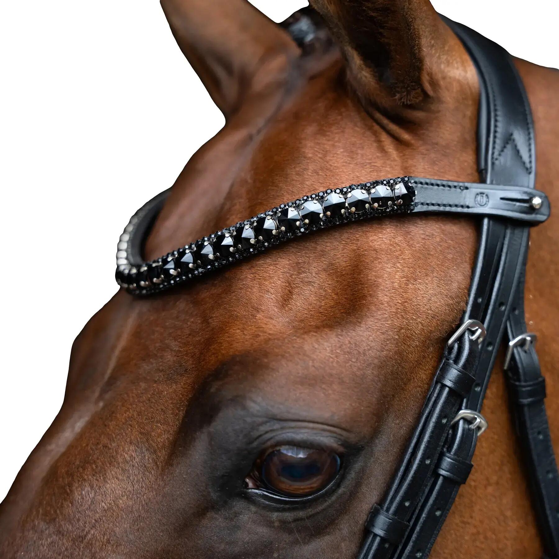 IMPERIAL RIDING picture