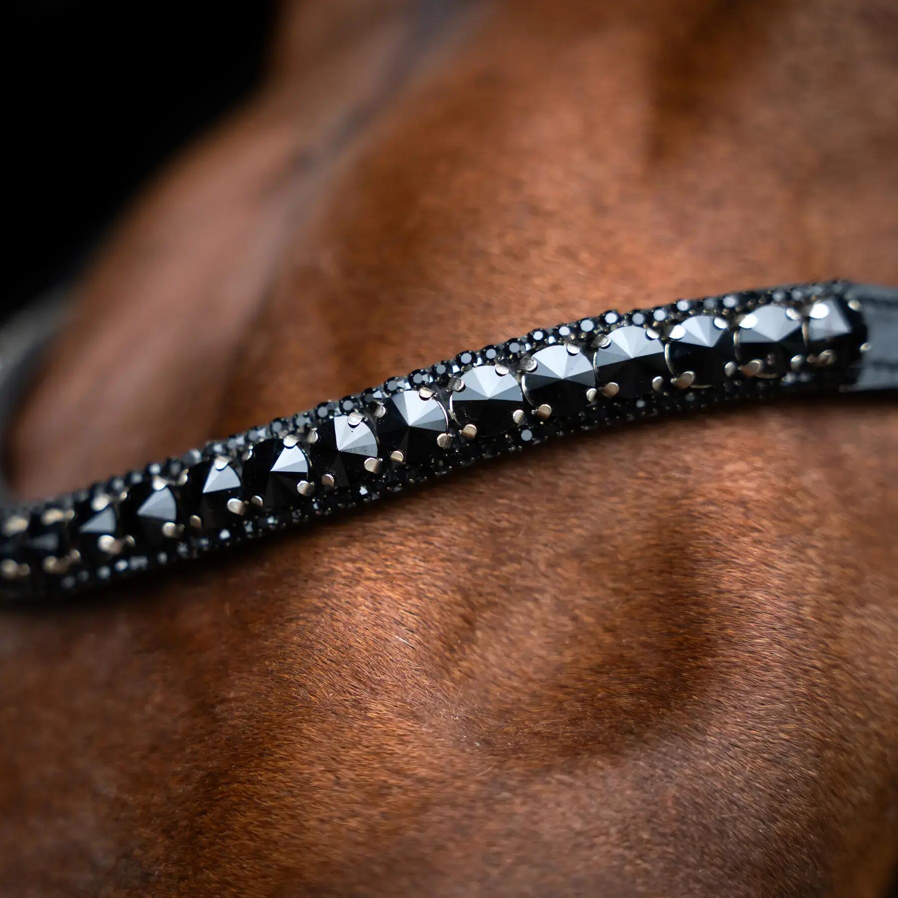 Frontale per cavallo Imperial Riding Maxima 2/2